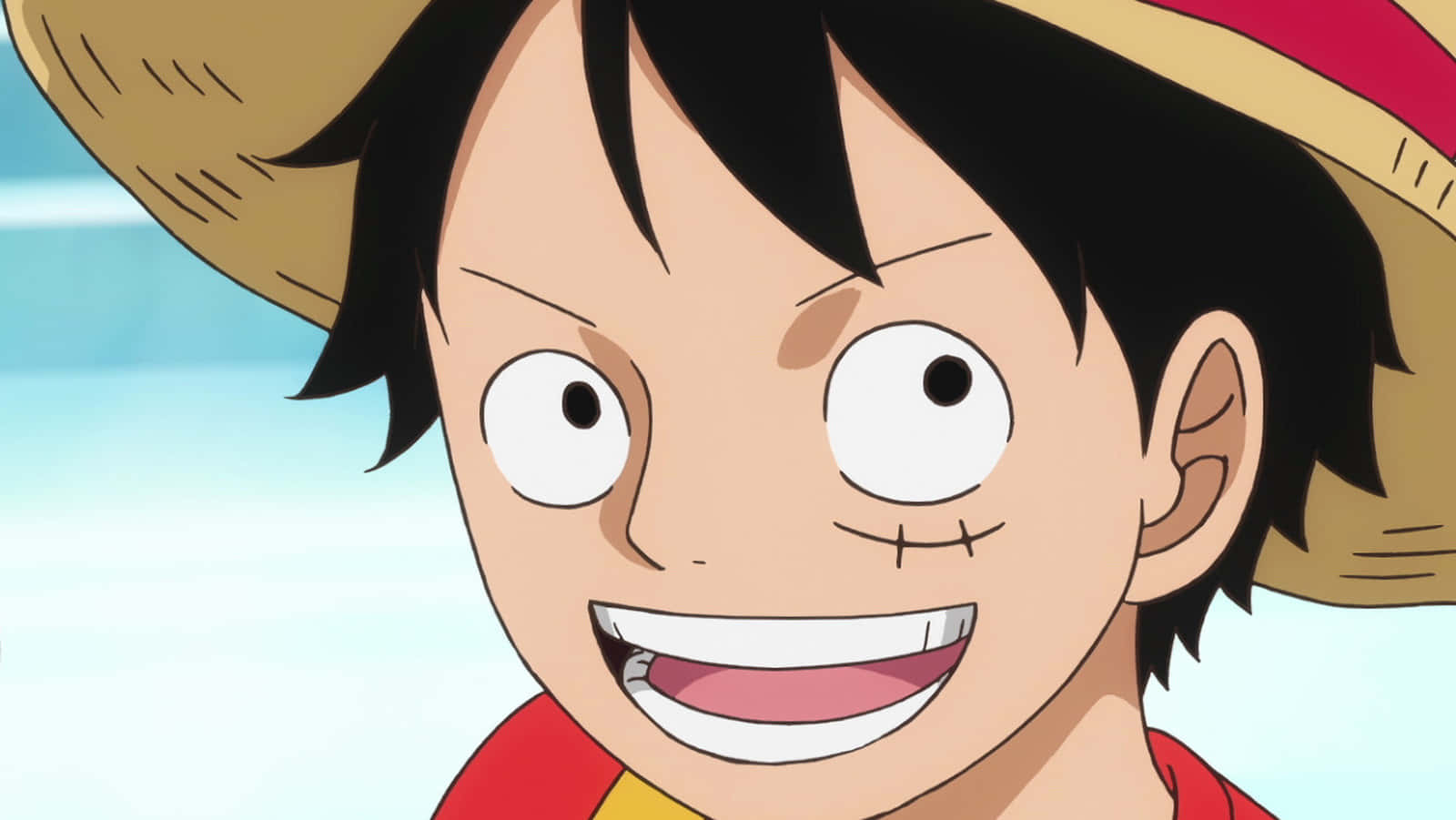 Bilde av Monkey D. Luffy, som har oppdaget sin skjebne som Piratkongen. Bakgrunner