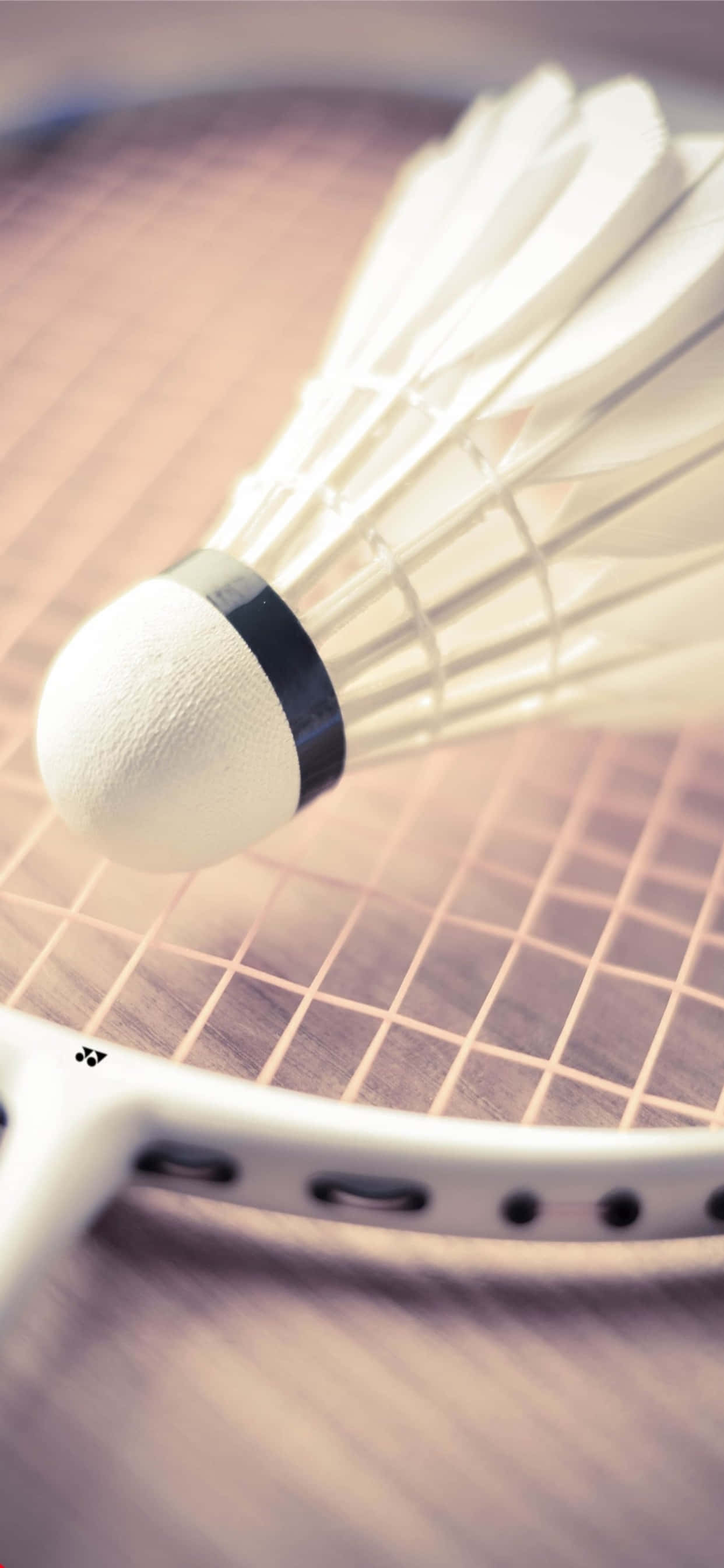 Bilde – Nyt badmintonspillet på din iPhone XS Max Bakgrunner