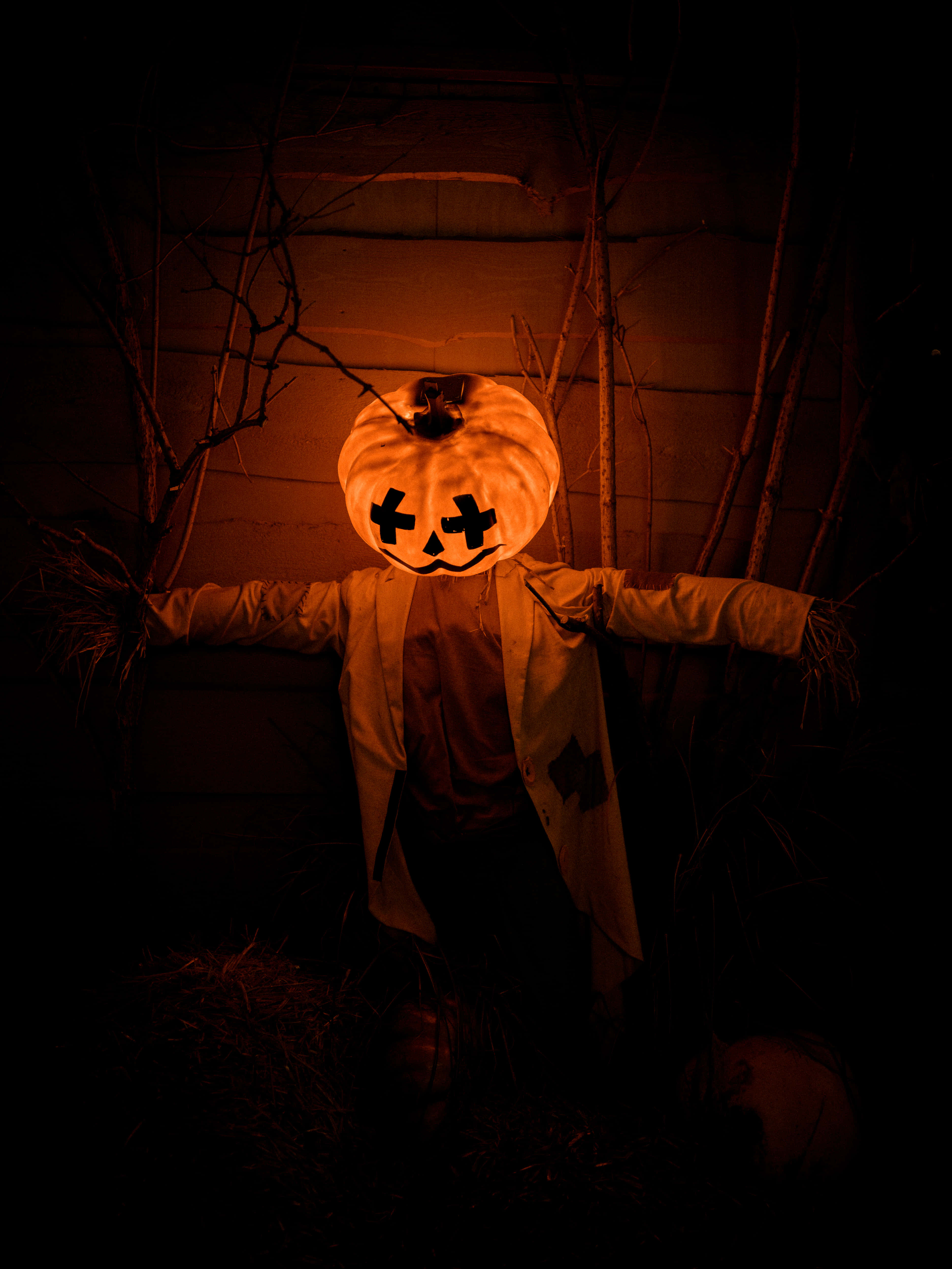 Bildetekst: Fortryllende Halloween-gresskar på høstnatt Bakgrunner