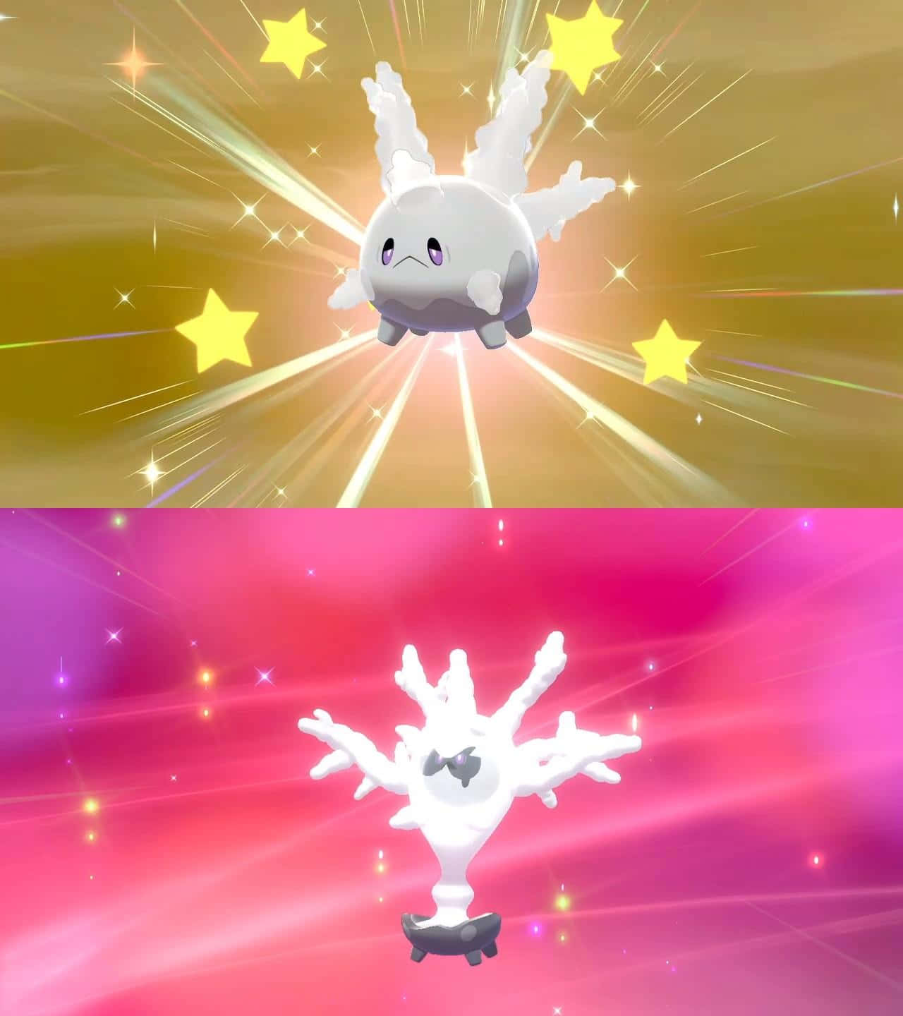 Bildetekst: Glitrende galarisk Corsola og Cursola-illustrasjon Bakgrunner