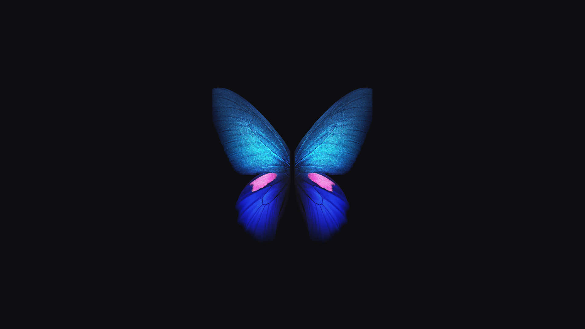 4K OLED-bakgrunn — Sommerfugl estetisk GIF Bakgrunner