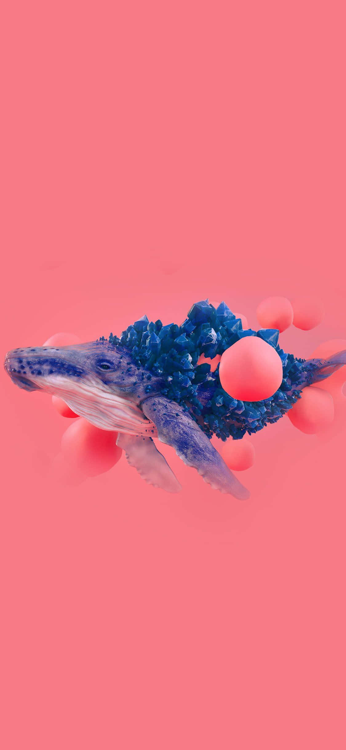 Blåhval hav rosa bakgrunn digital kunst bilde Bakgrunner