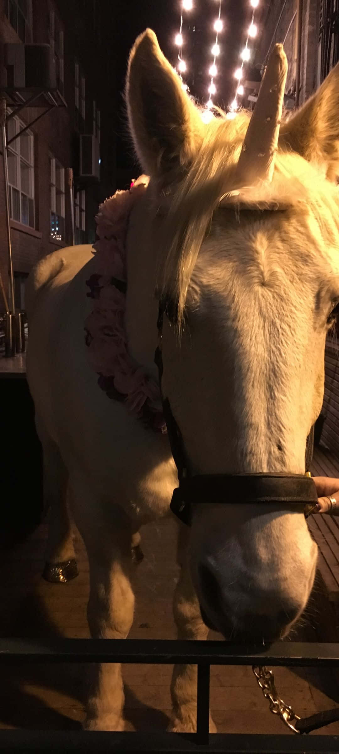 Bli med på eventyret Bakgrunner