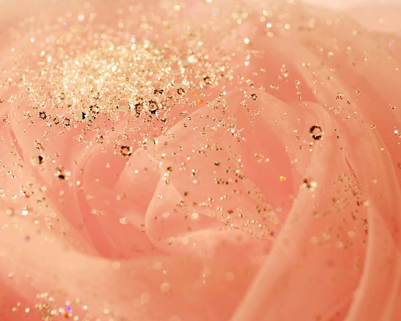 Blomst med roségullglitterbakgrunn Bakgrunner