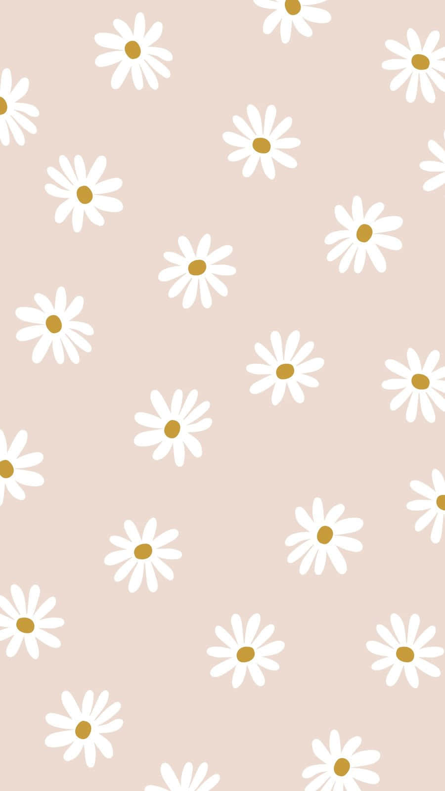 Blomster i full blomst på en solrik dag Bakgrunner