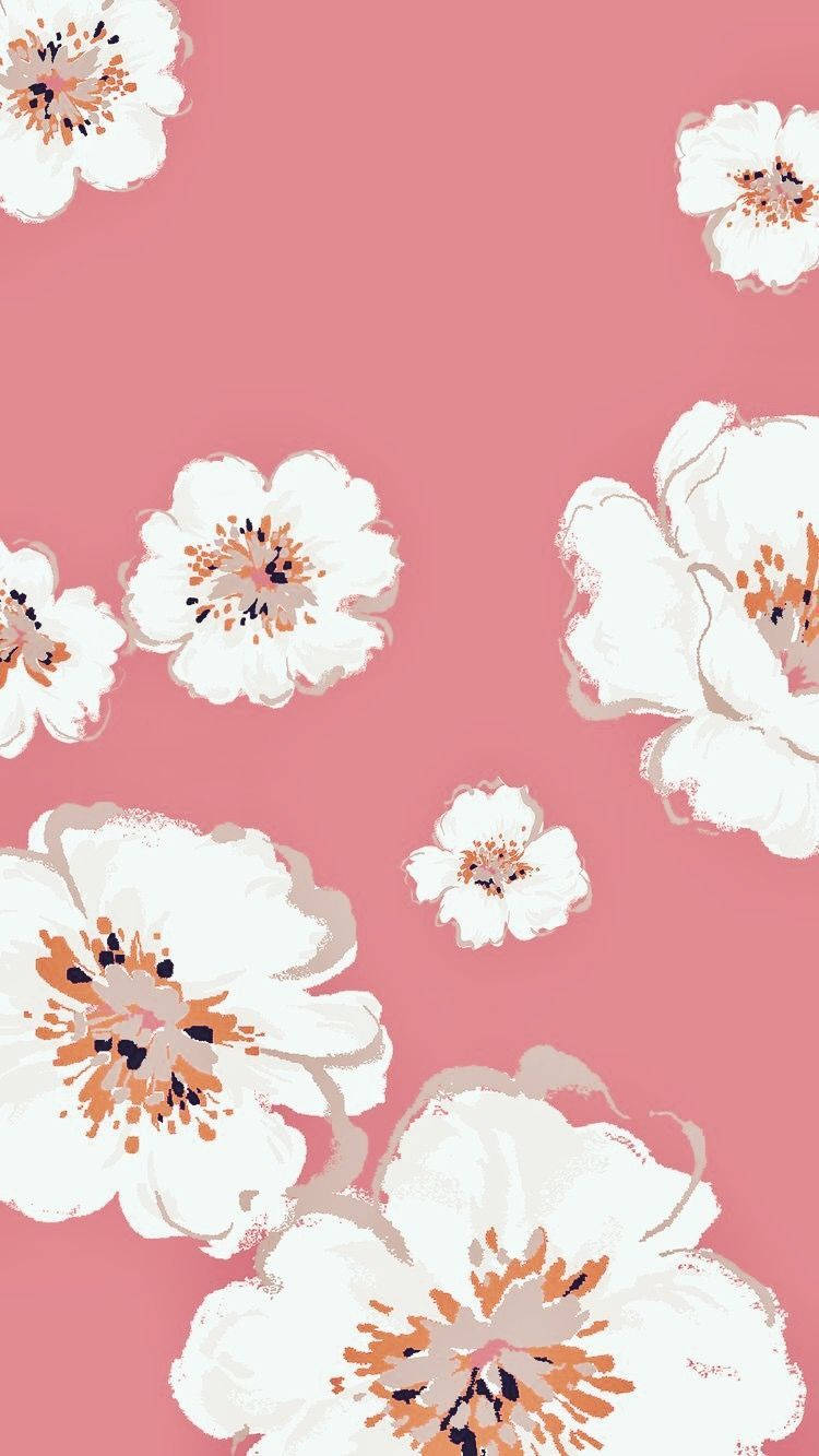 Blomster iPhone Hvite Blomster Bakgrunner