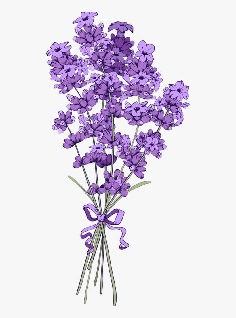 Blomsterbakgrunn Bakgrunner