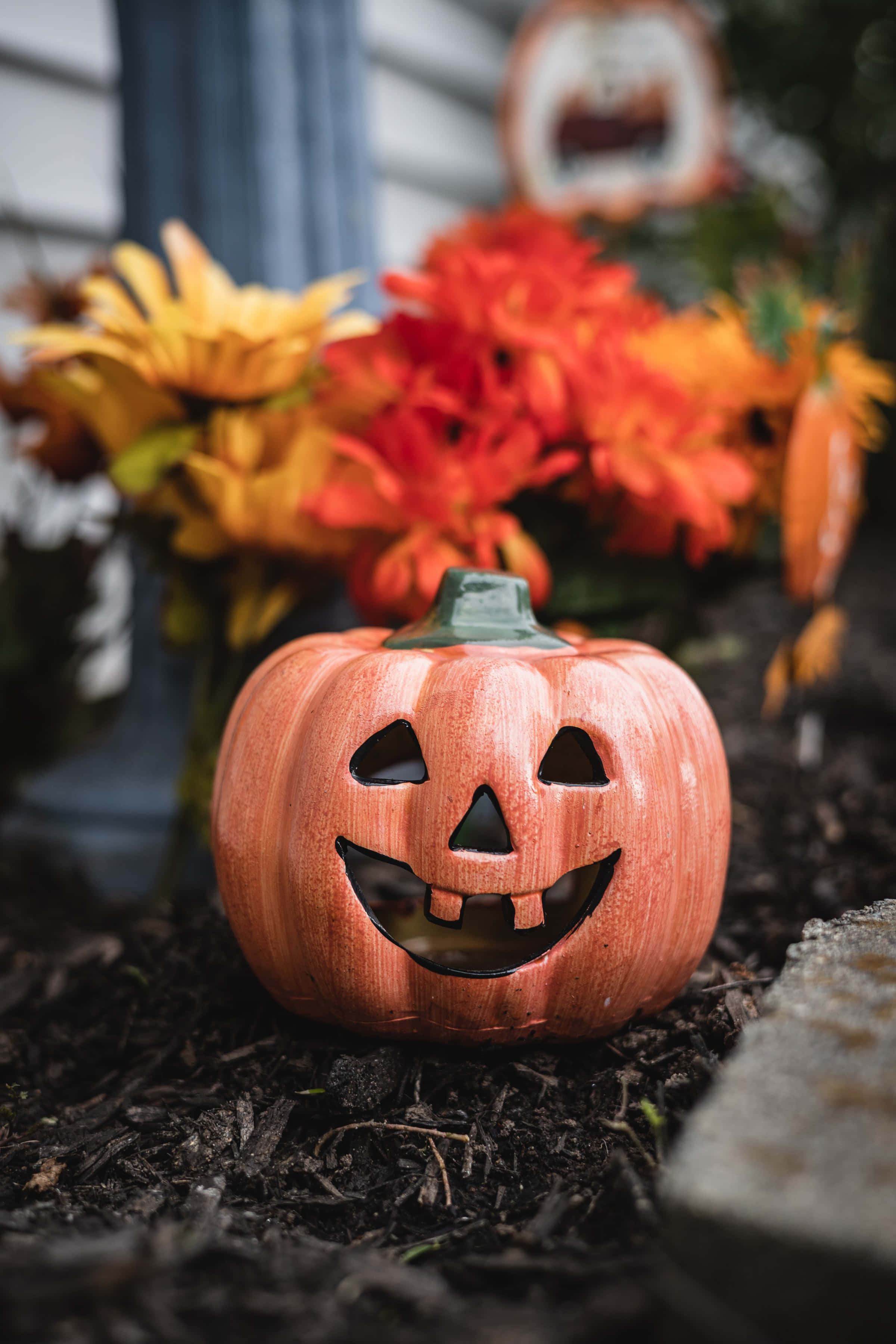 Blomstergresskar Høyoppløselig Halloween-bakgrunn Bakgrunner