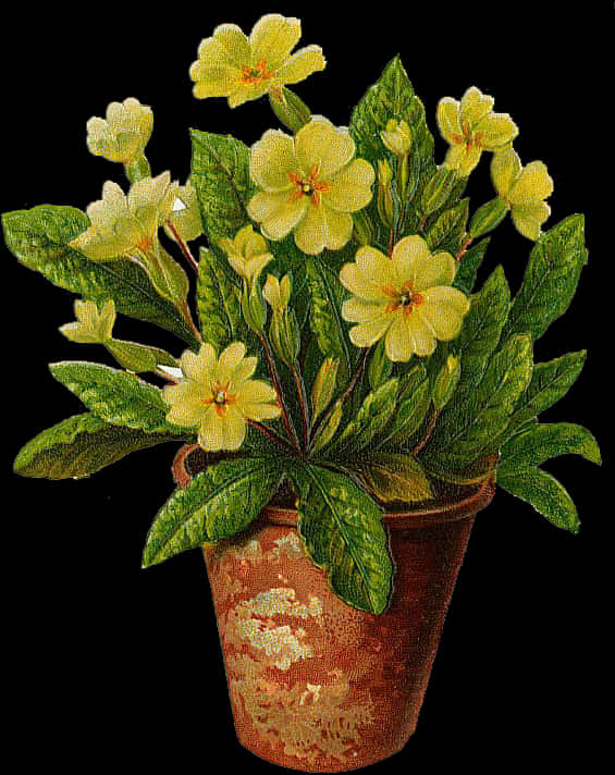 Blomstrende gule blomster i leirpotte Bakgrunner