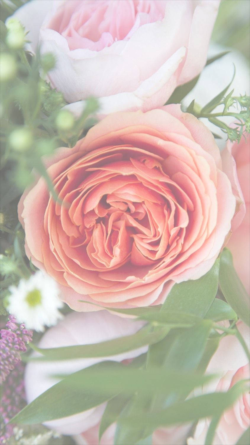 Blomstrende iPhone Bakgrunner