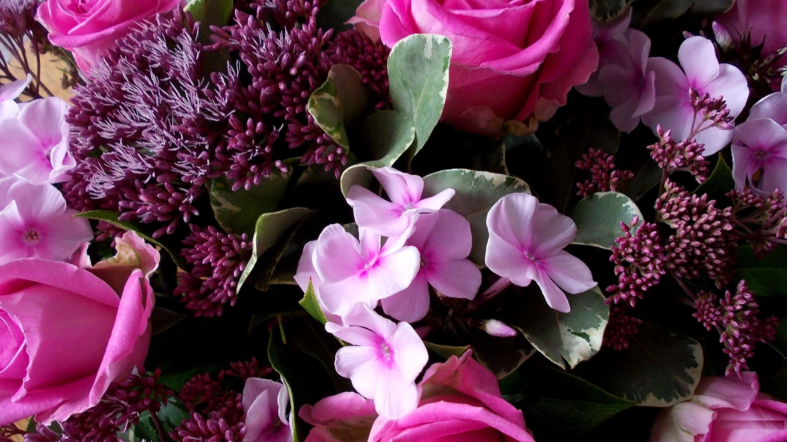 Blomstrende rosa blomsterbakgrunn Bakgrunner