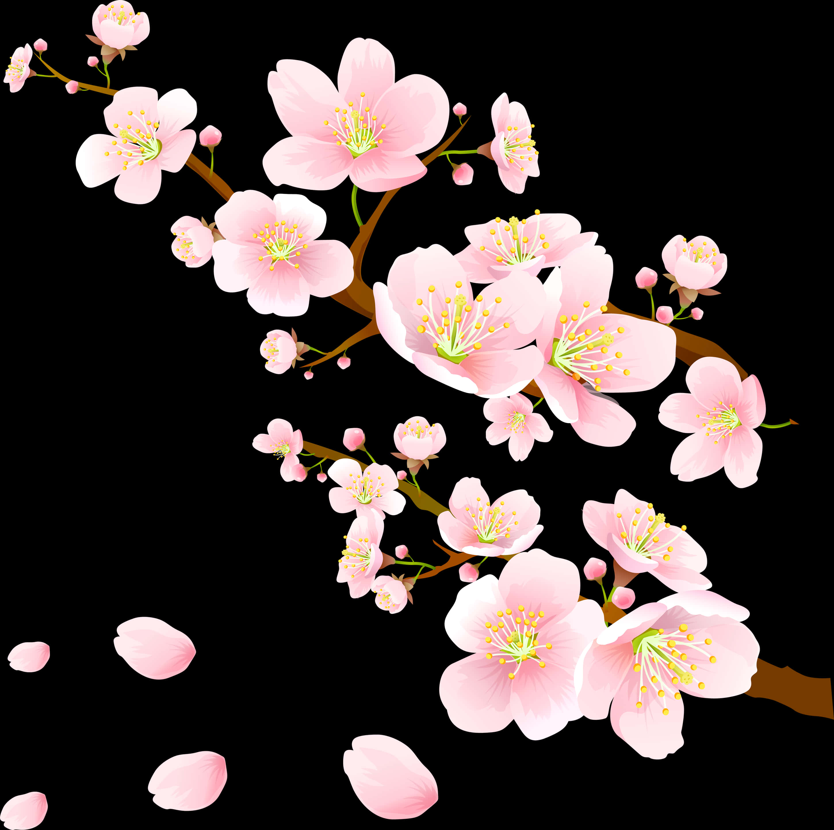Blomstrende rosa kirsebærblomster Bakgrunner