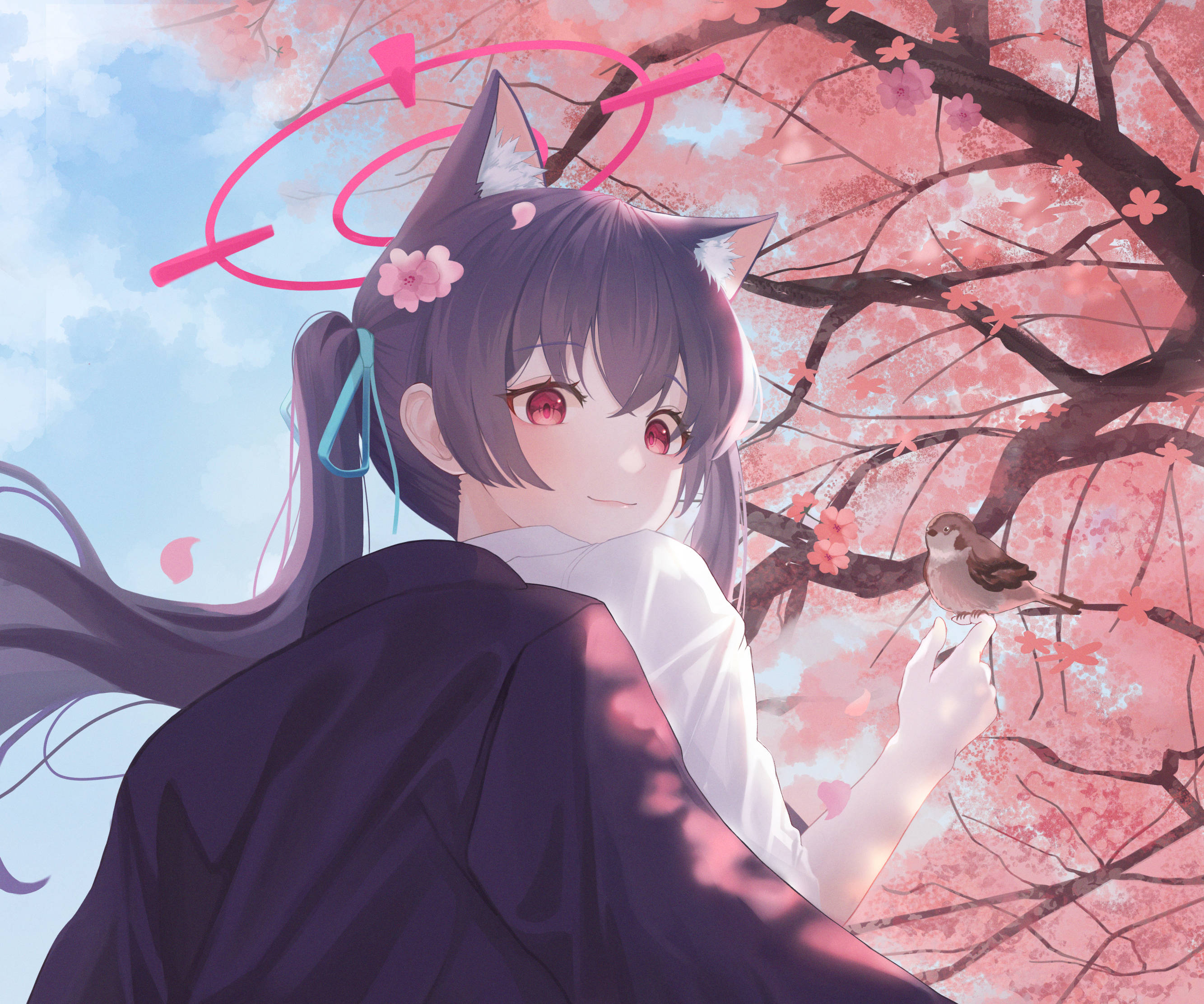 Blue Archive Kuromi Serika Kirsebærblomst Bakgrunner