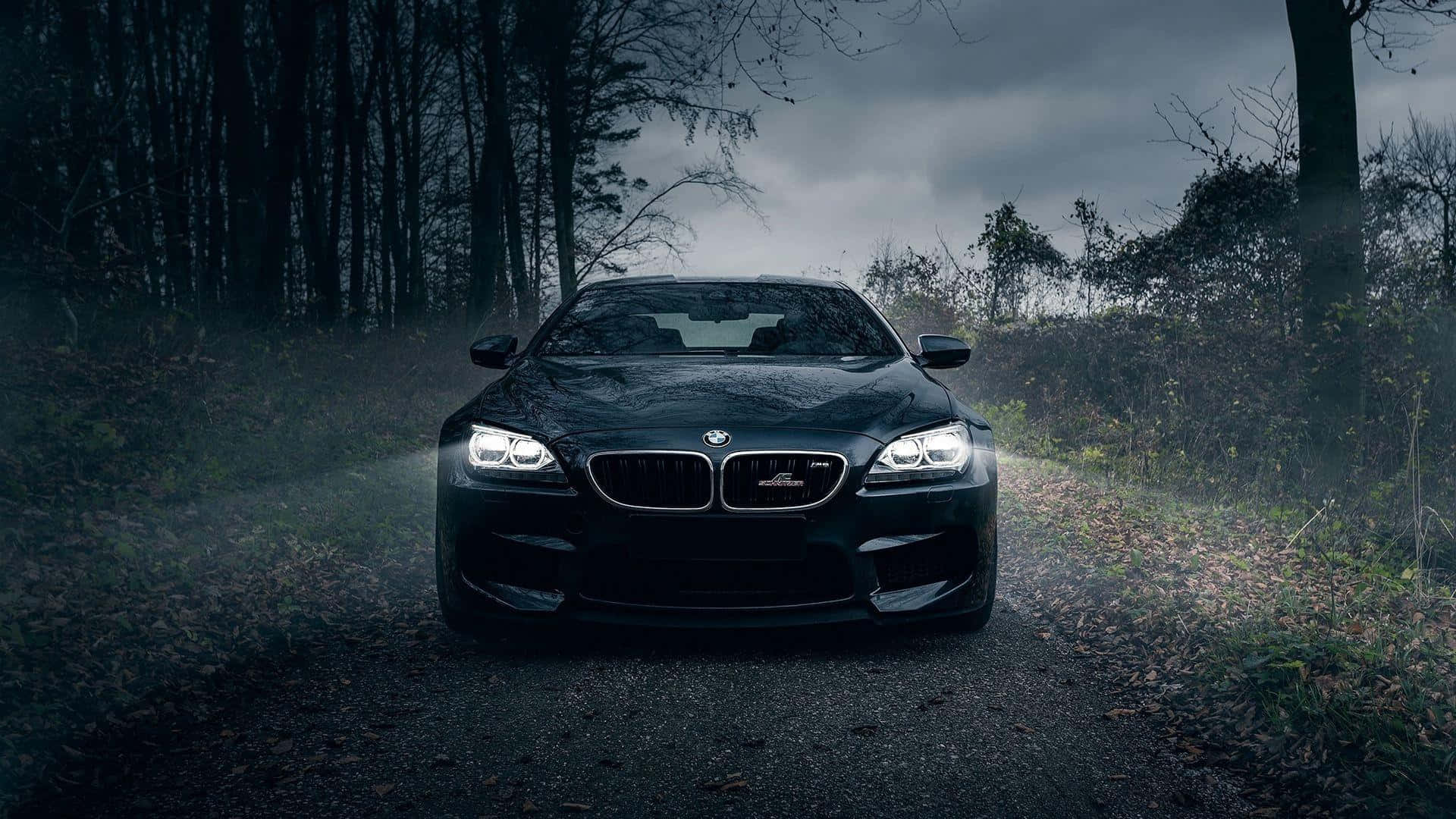 BMW 1920x1080 Kjøring Natt Skog Bakgrunner