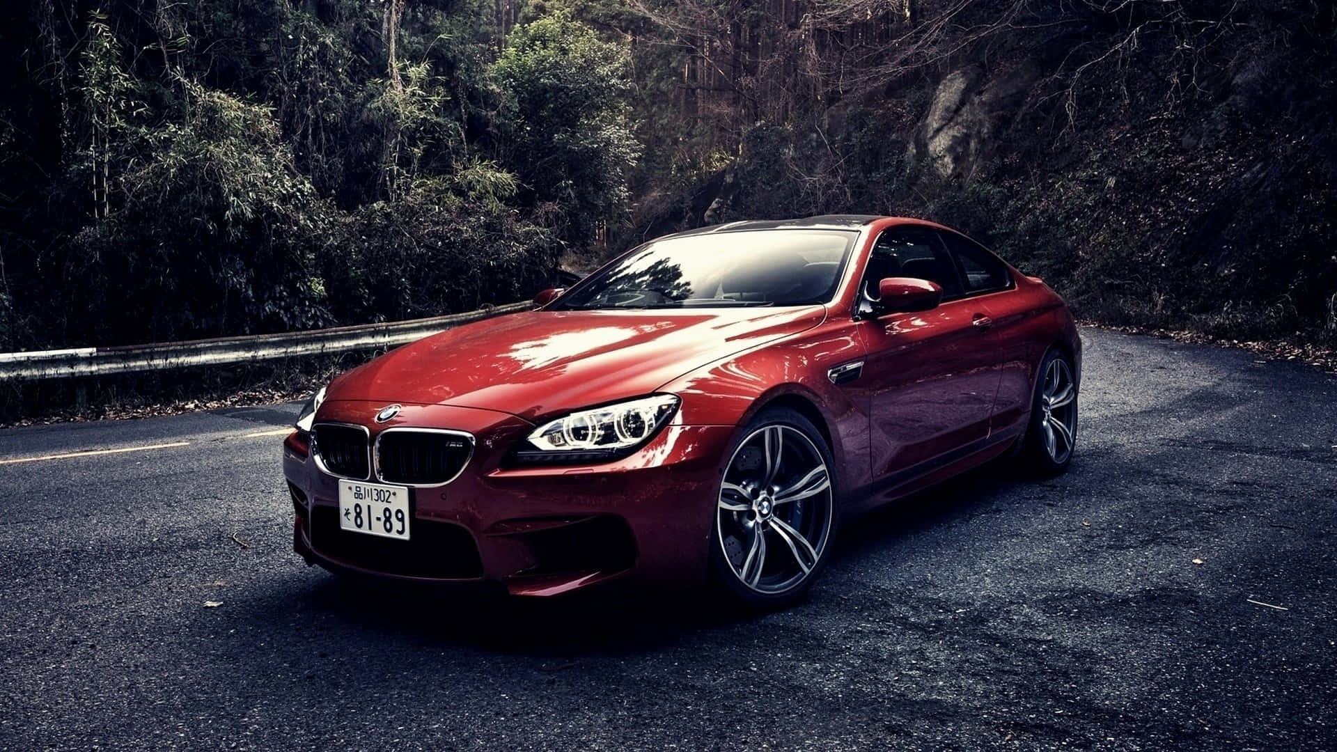 BMW-bakgrunn Vei Mellom Skog Bakgrunner