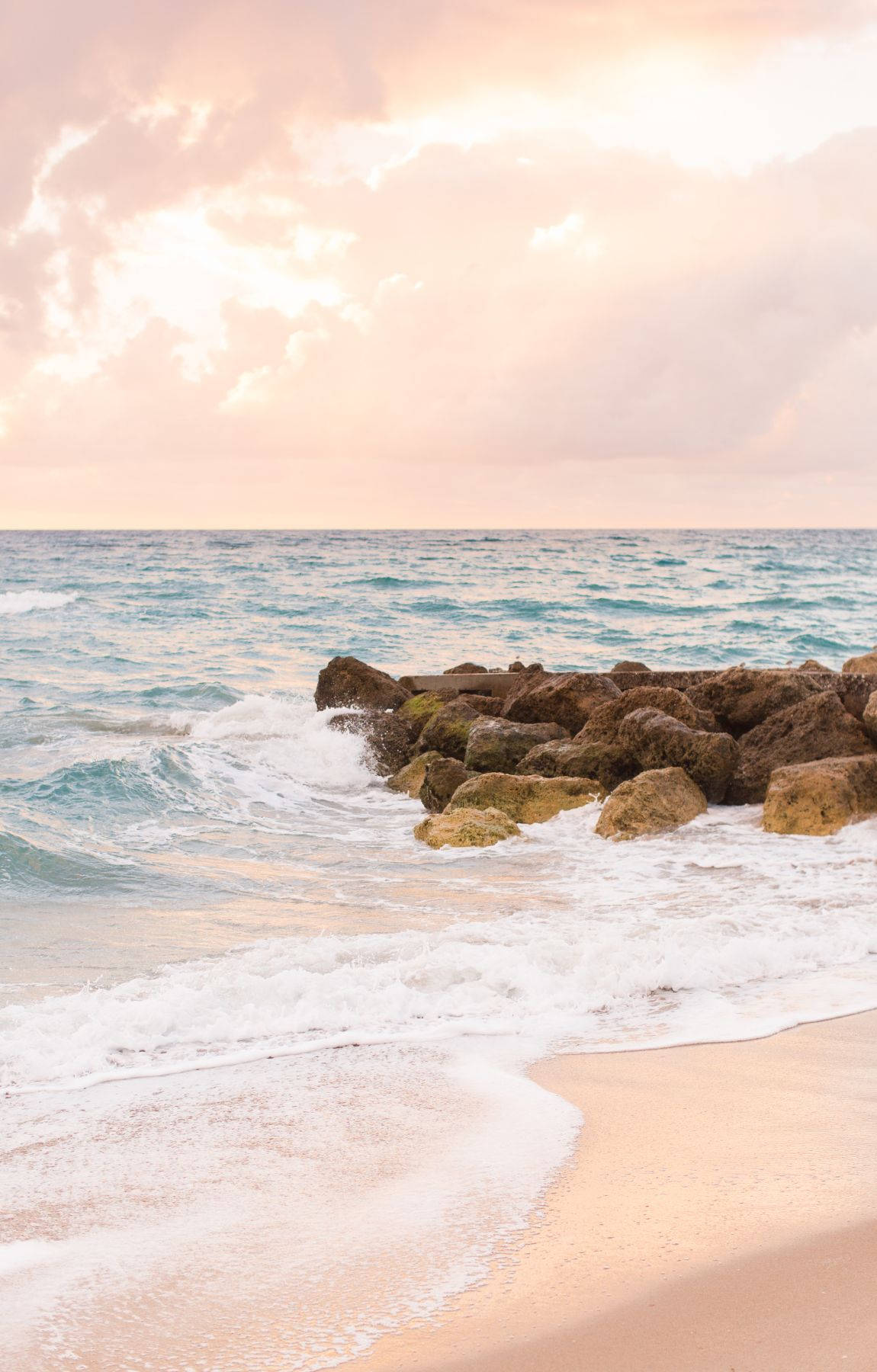 Boblete havbrus på stranden ved soloppgang Bakgrunner