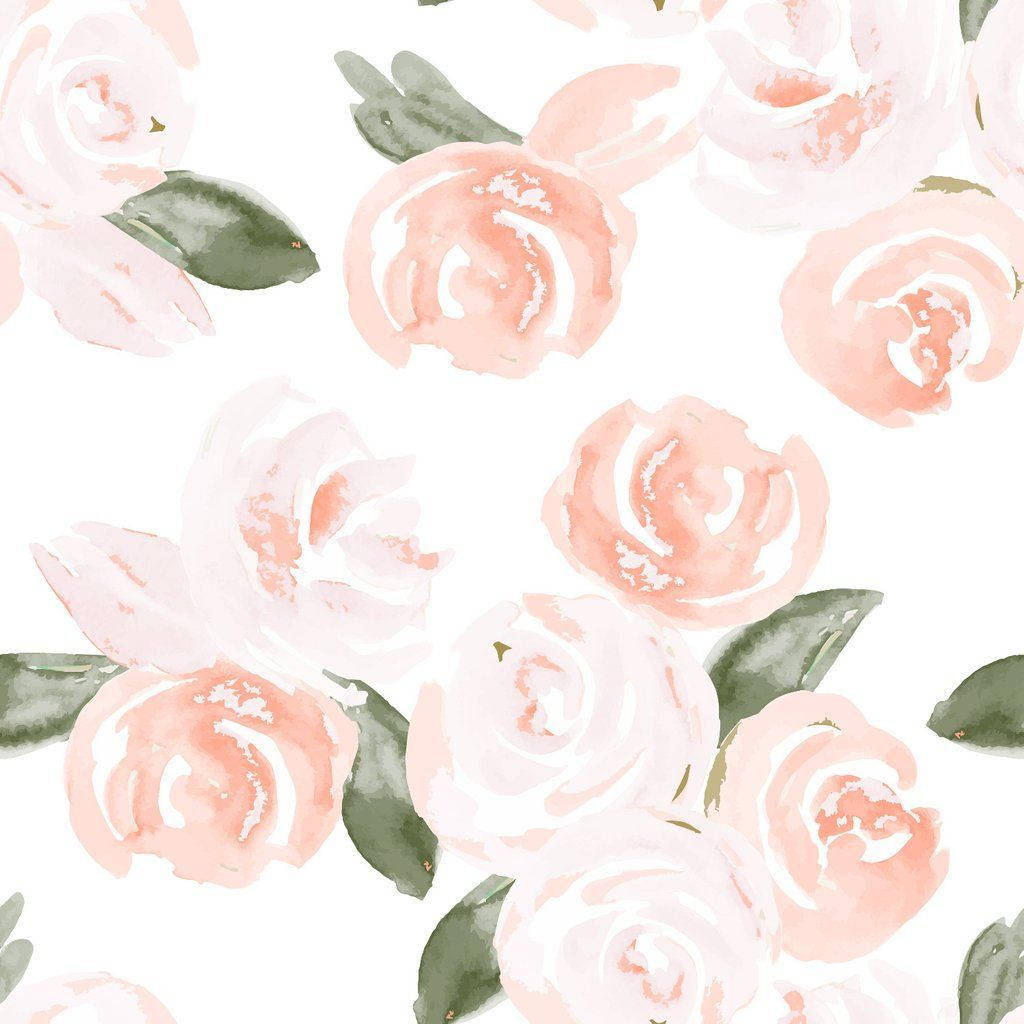 Boho Aesthetic rosa akvarellroser Bakgrunner