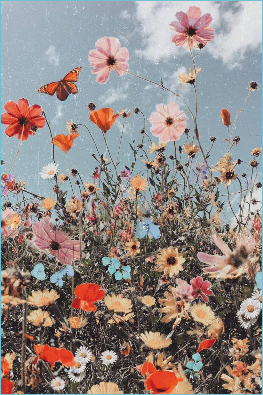 Boho-estetiske blomster Bakgrunner