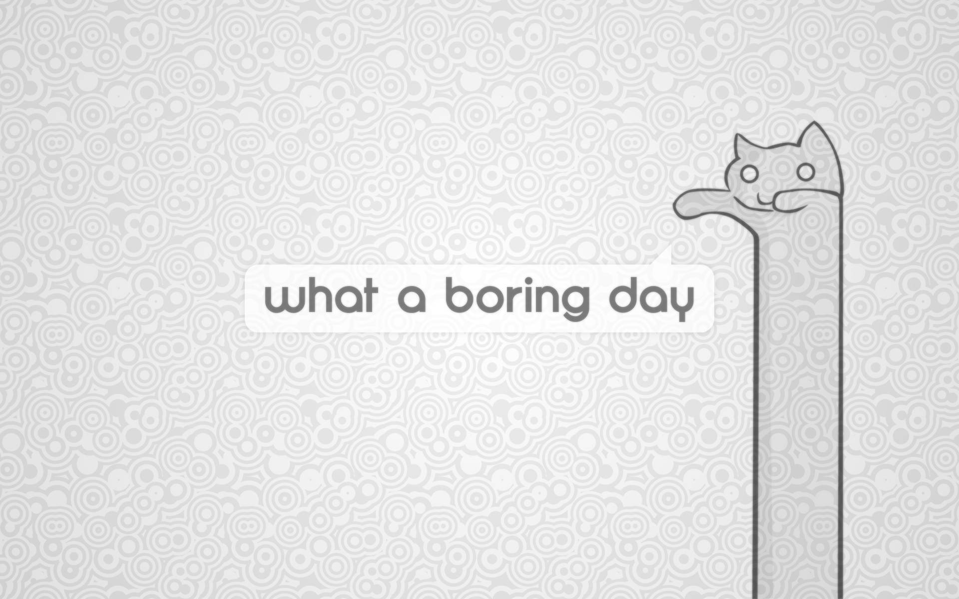 Boring Day tegneseriekatt kunst Bakgrunner