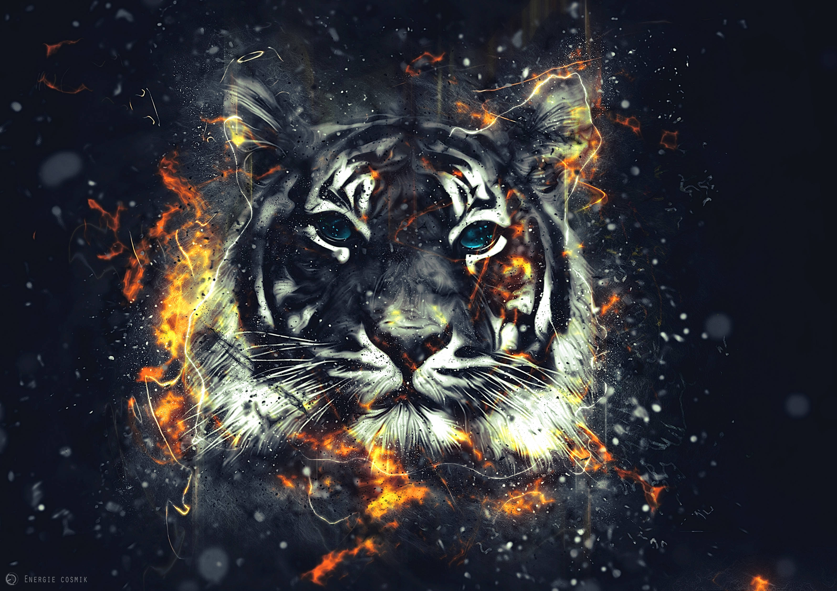 Brølende tiger i flammer Bakgrunner
