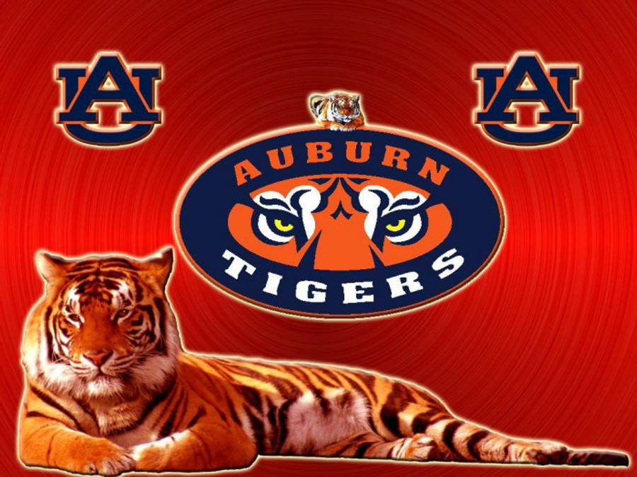 Brølende tiger på en Auburn Football-kampdag Bakgrunner
