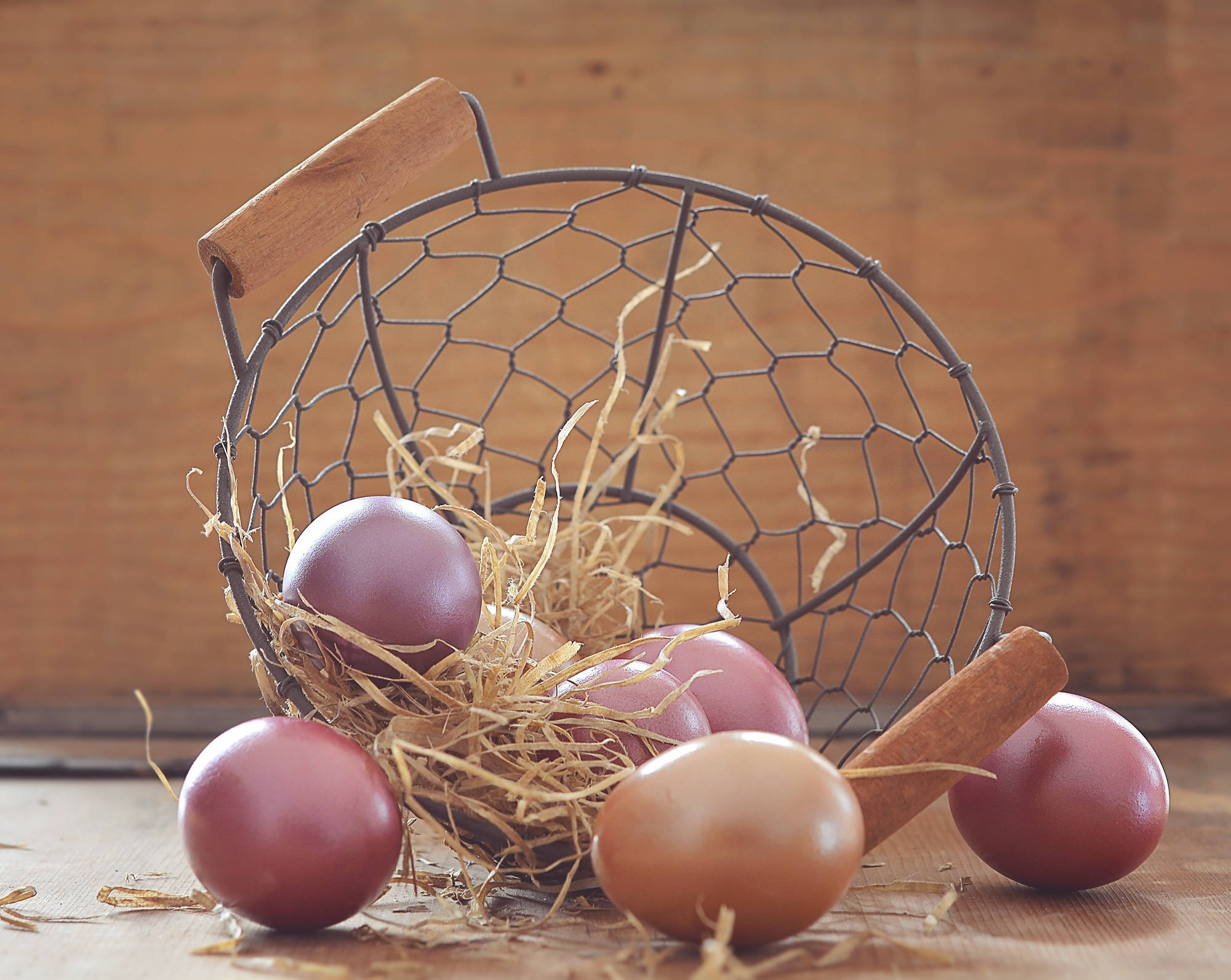 Brune påskeegg Bakgrunner