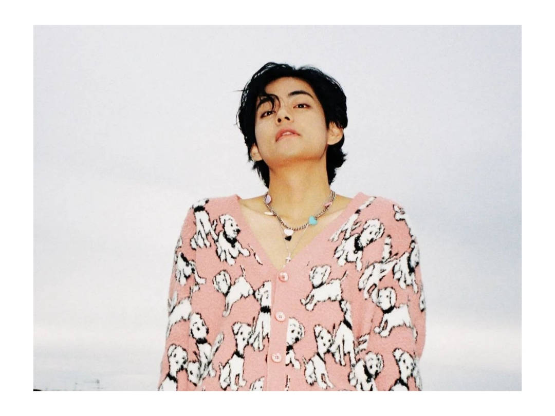 BTS V i rosa valpekåpegenser Bakgrunner
