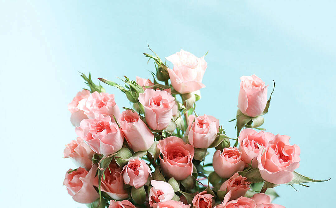 Bukett med blomster i pastellrosa estetikk Bakgrunner