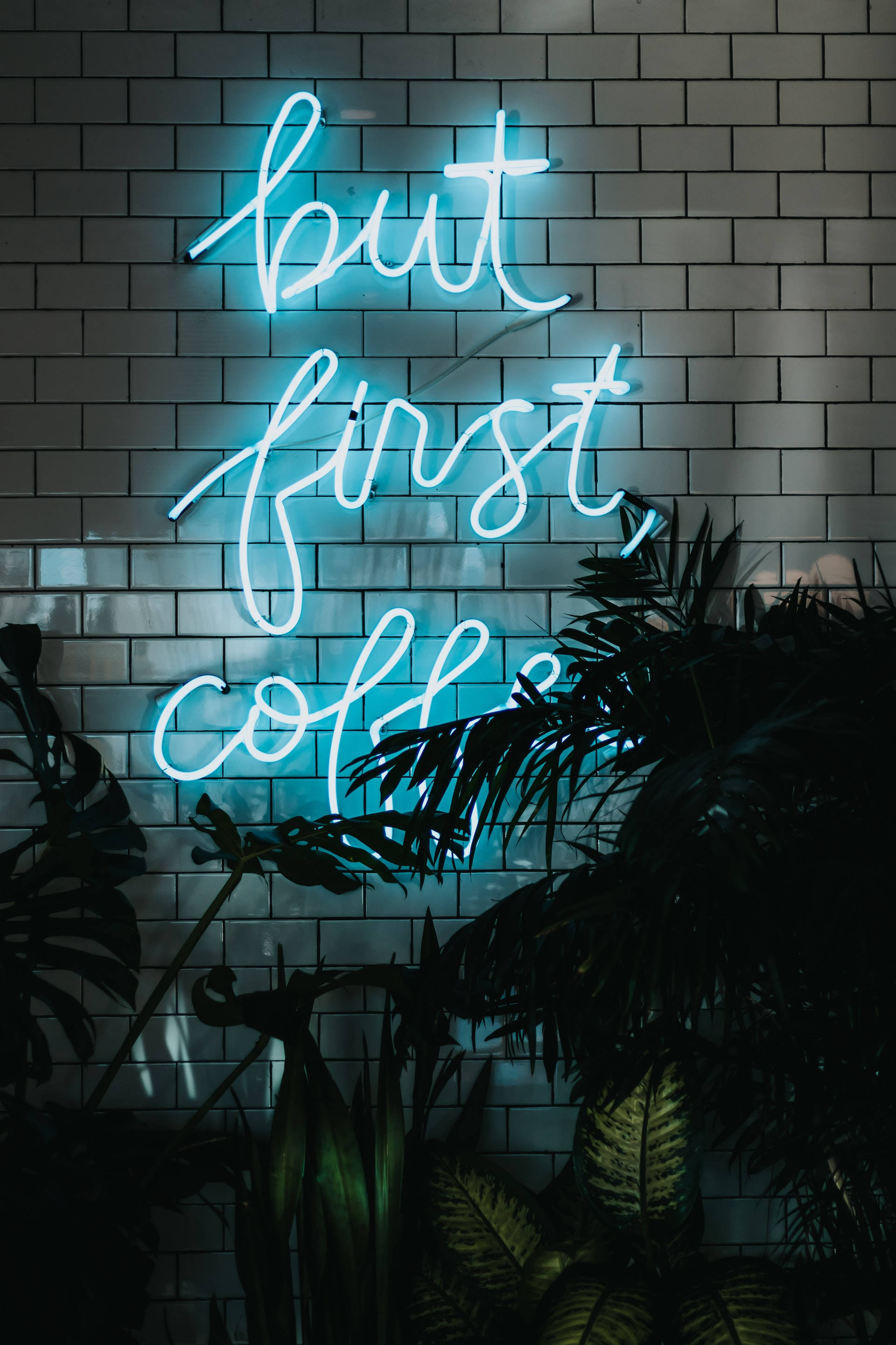 "But First Coffee" i Neonlys Blå iPhone Bakgrunner