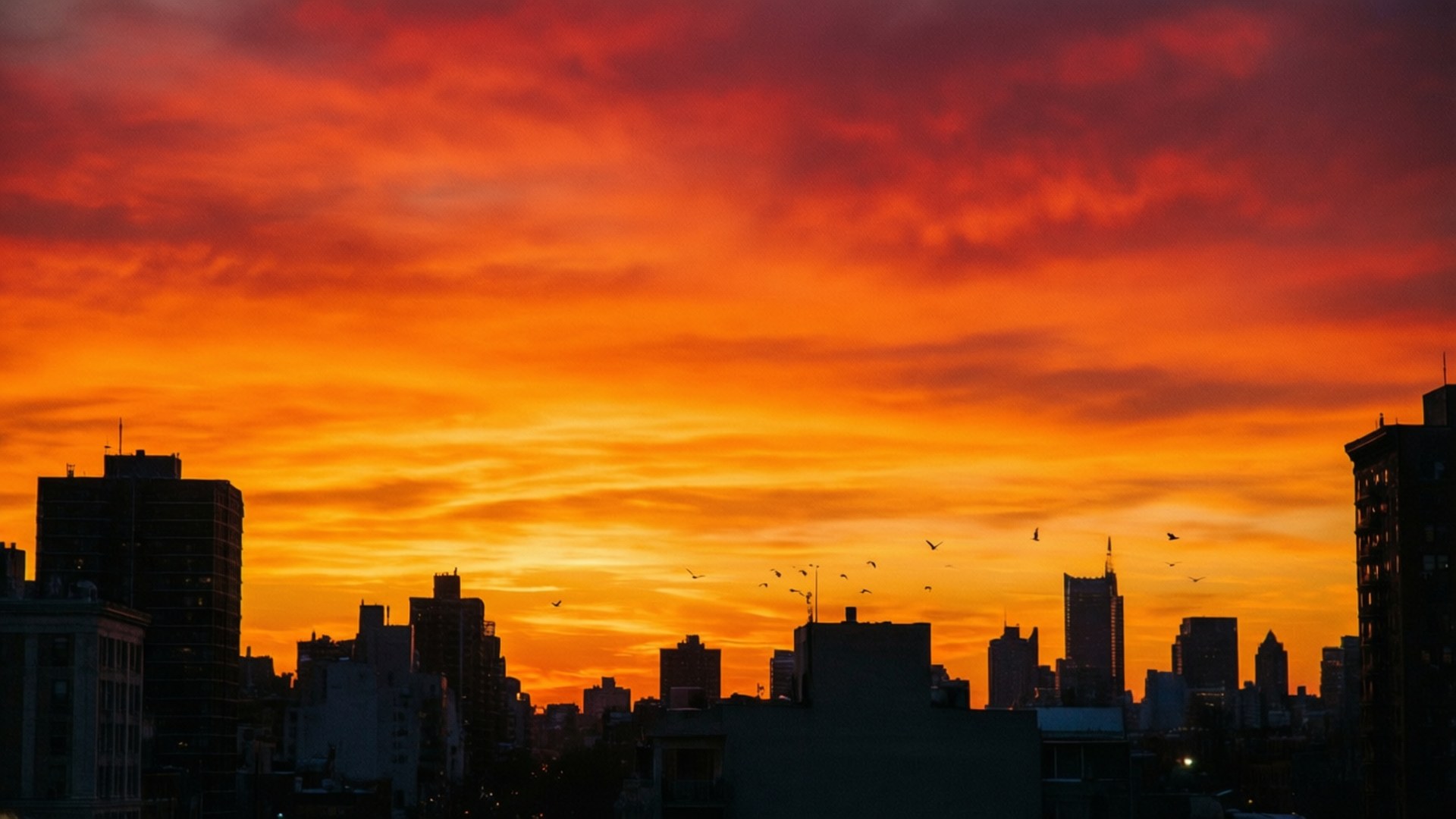 By solnedgang silhuett Bakgrunner
