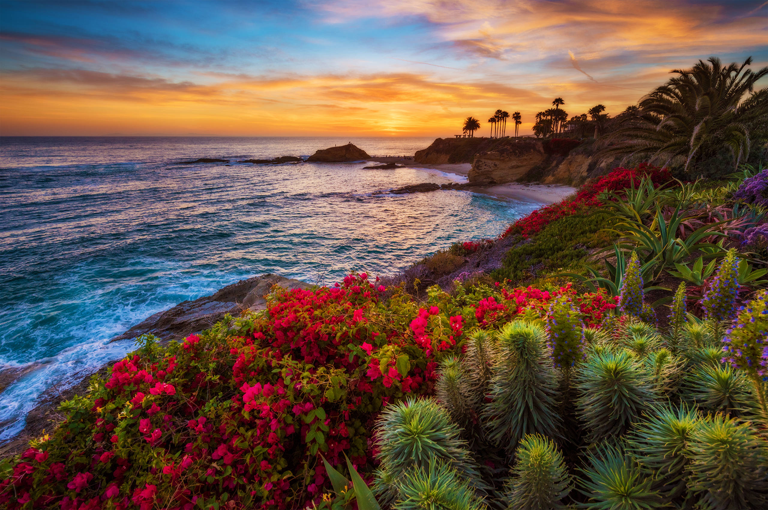 California havutsikt Bakgrunner