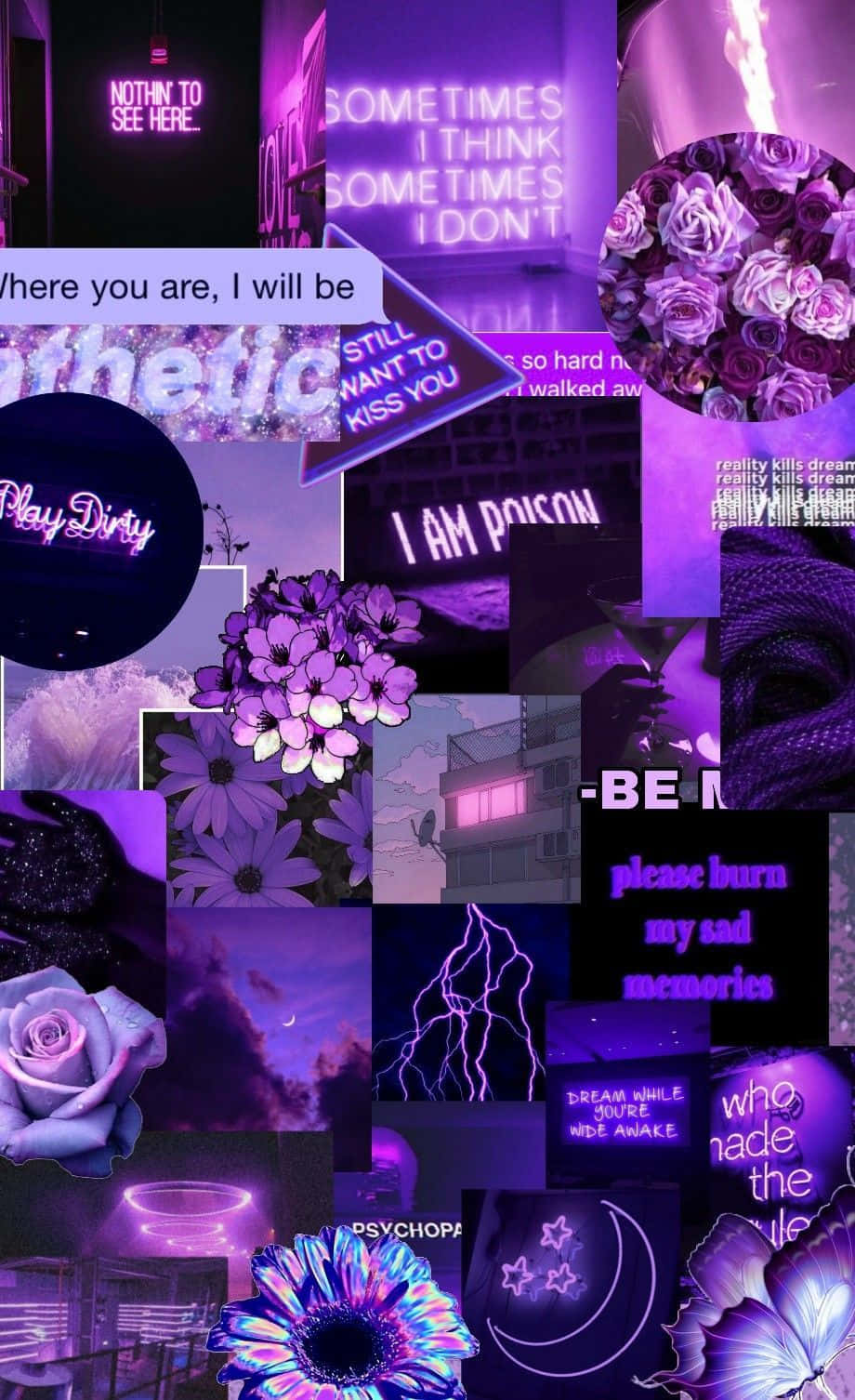 Calis fineste lilla estetiske baddie som serverer sassy blikk Bakgrunner