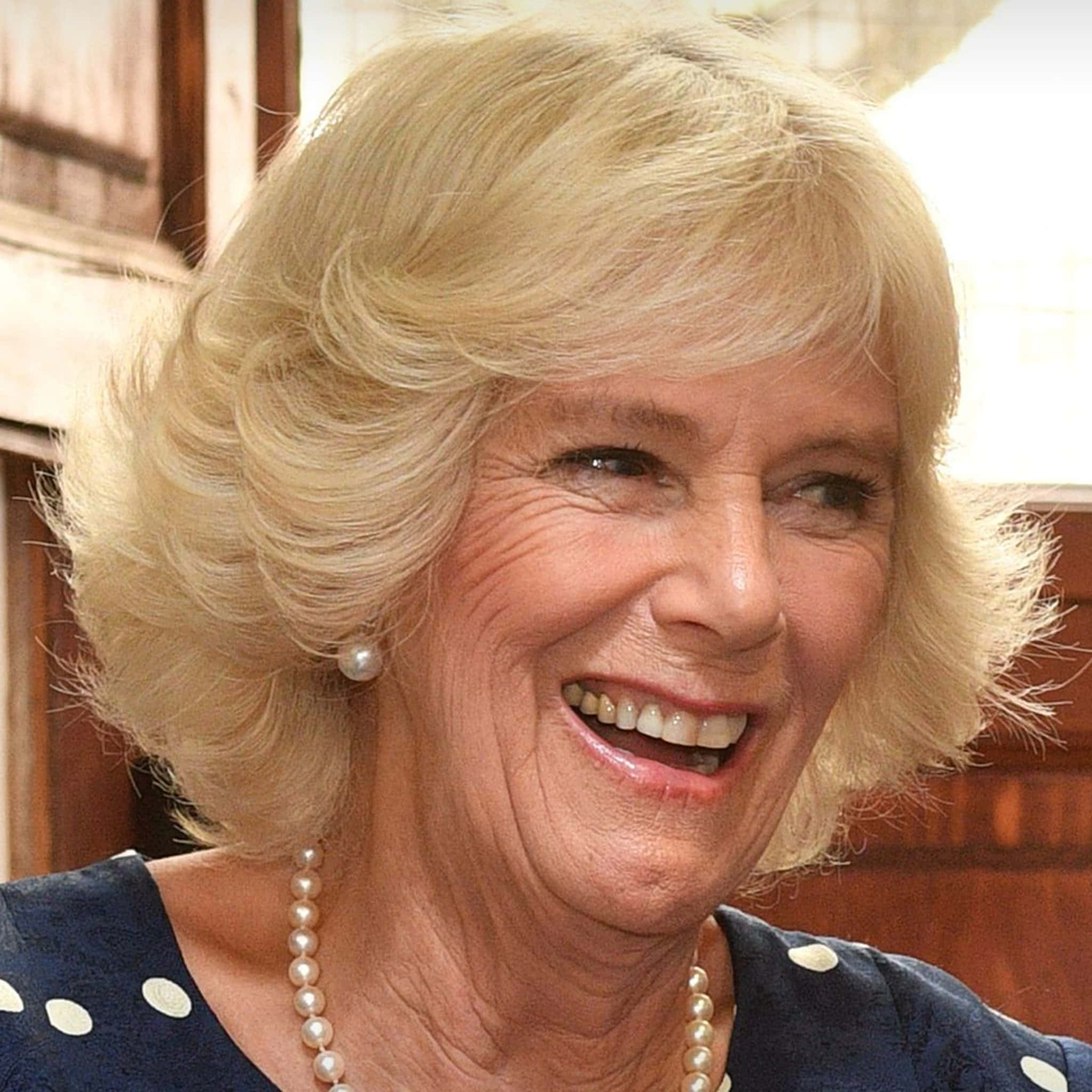 Camilla mobil latter Bakgrunner