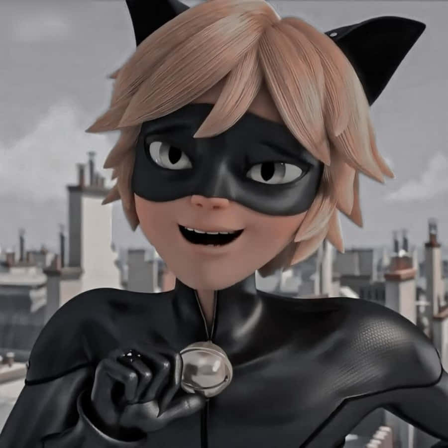 Cat Noir, Paris' beskytter Bakgrunner