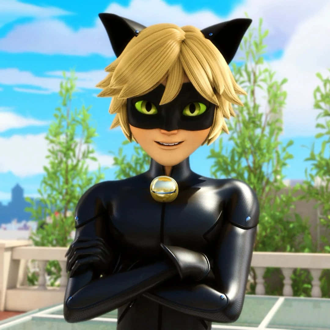 Cat Noir - Vigilanten Bakgrunner