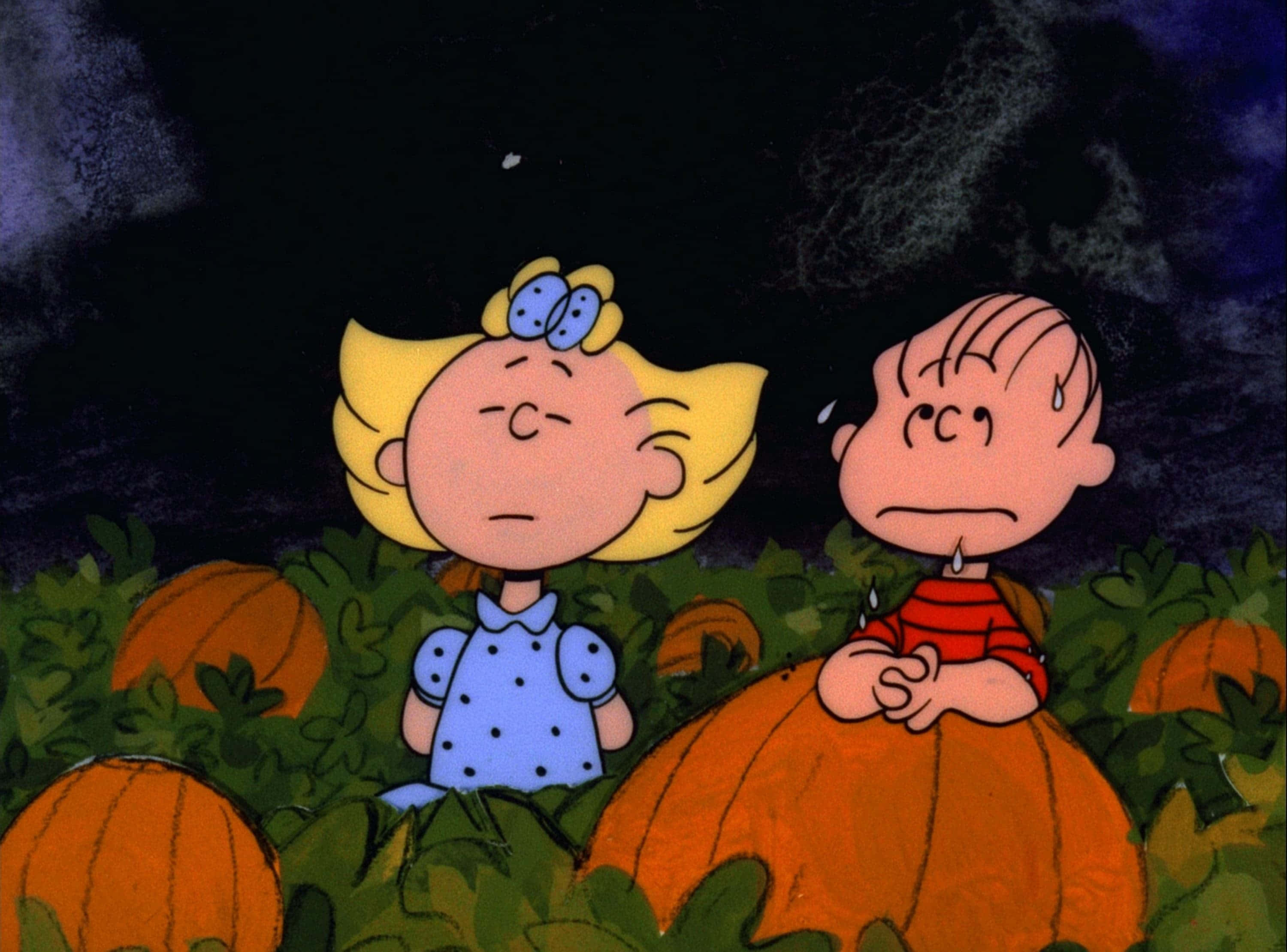 Charlie Brown Halloween-bilder Bakgrunner