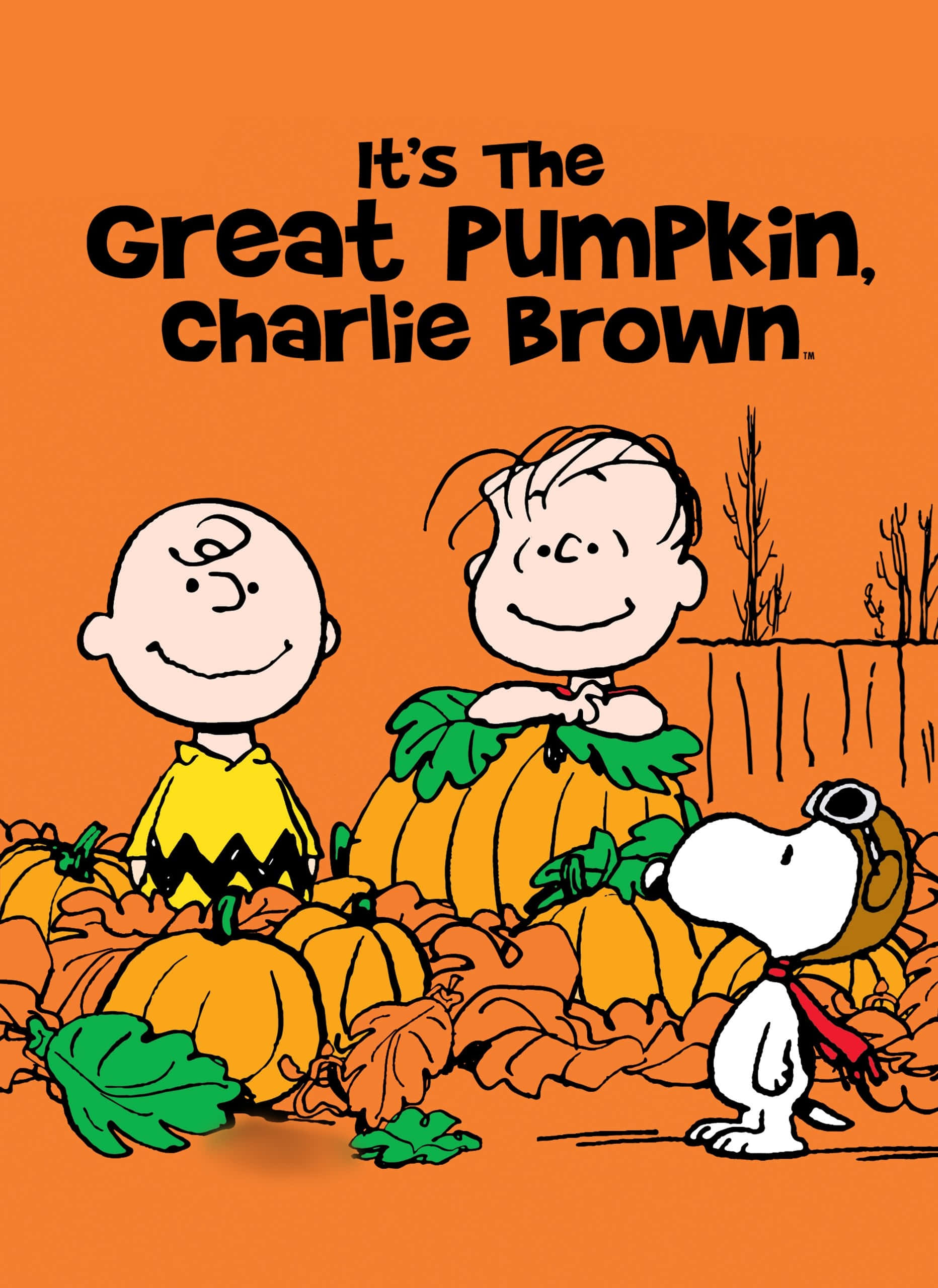 Charlie Brown Halloween-bilder Bakgrunner