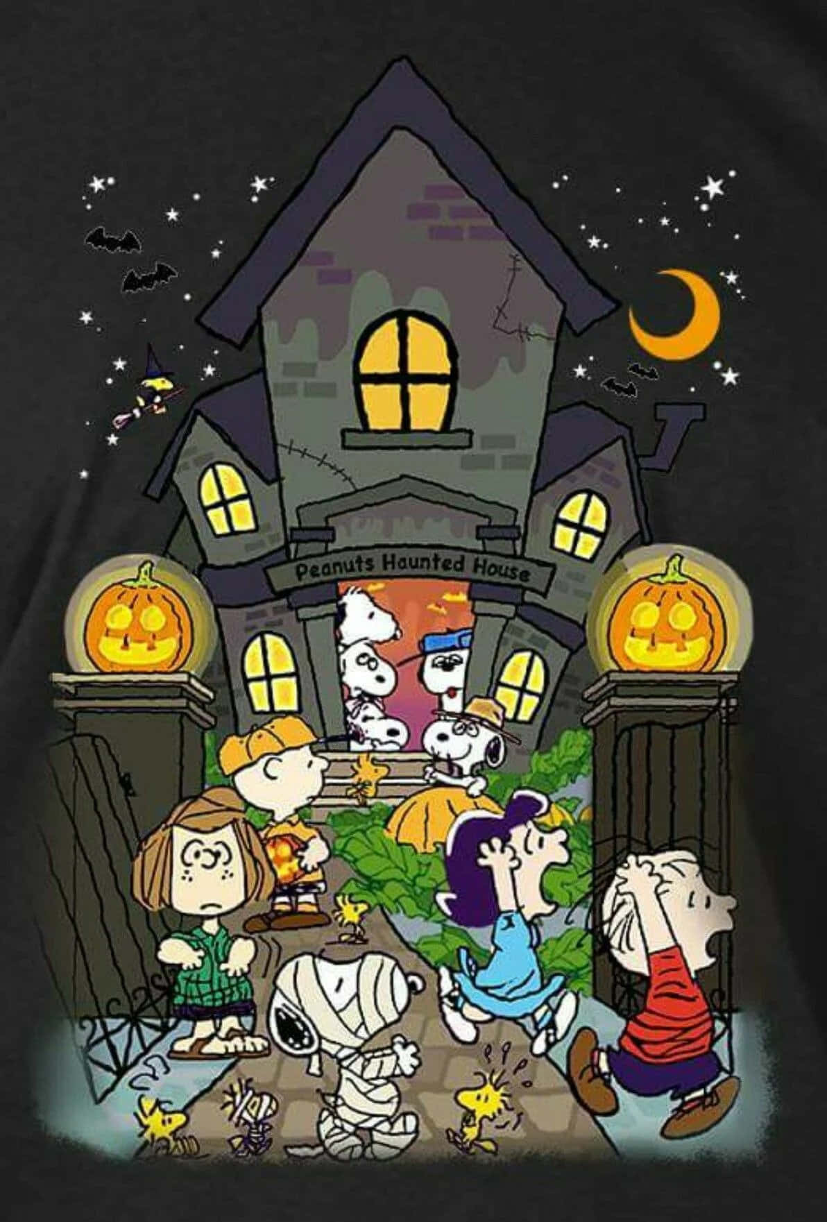 Charlie Brown Halloween-bilder Bakgrunner