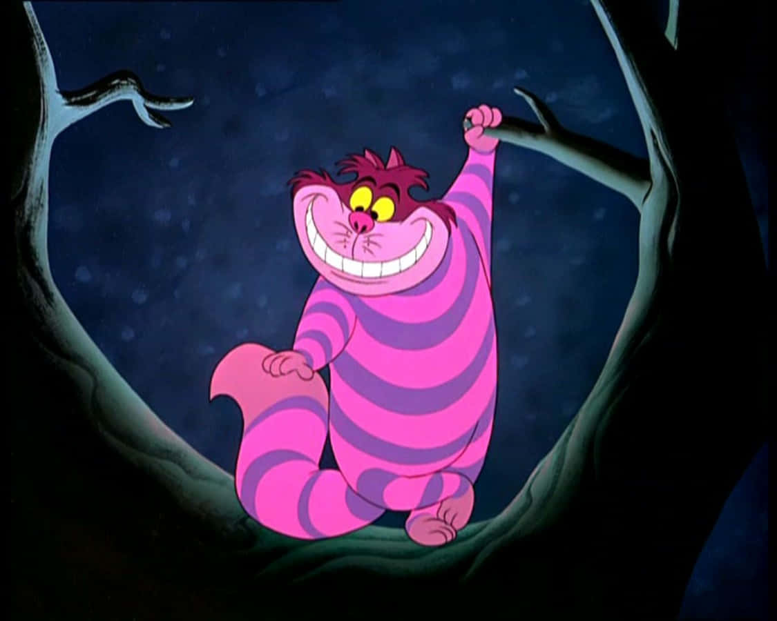 Cheshire-katten gliser skøyeraktig Bakgrunner