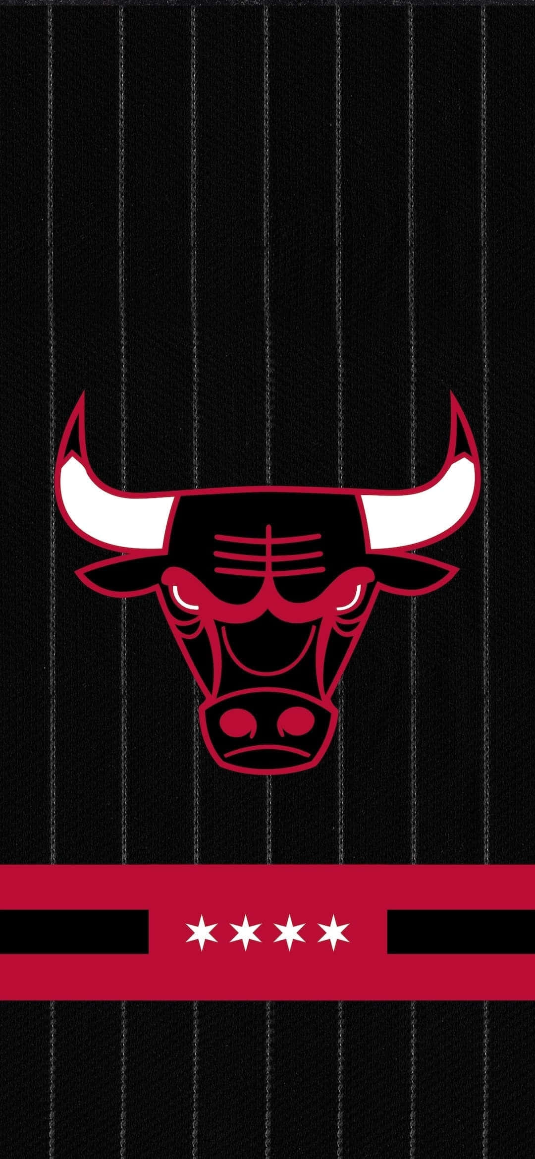 Chicago Bulls i aksjon Bakgrunner