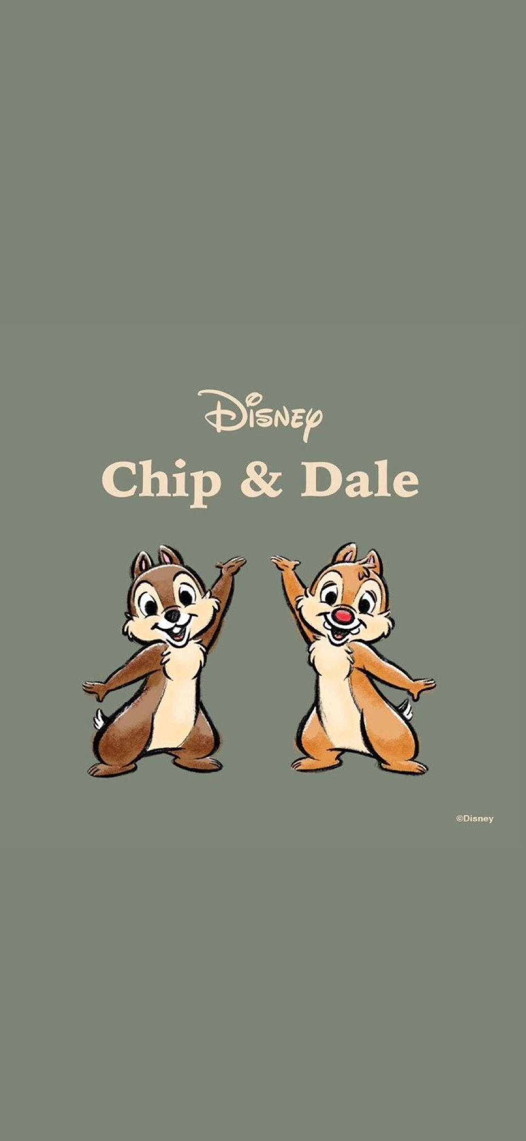 Chip N Dale på grå bakgrunn Bakgrunner