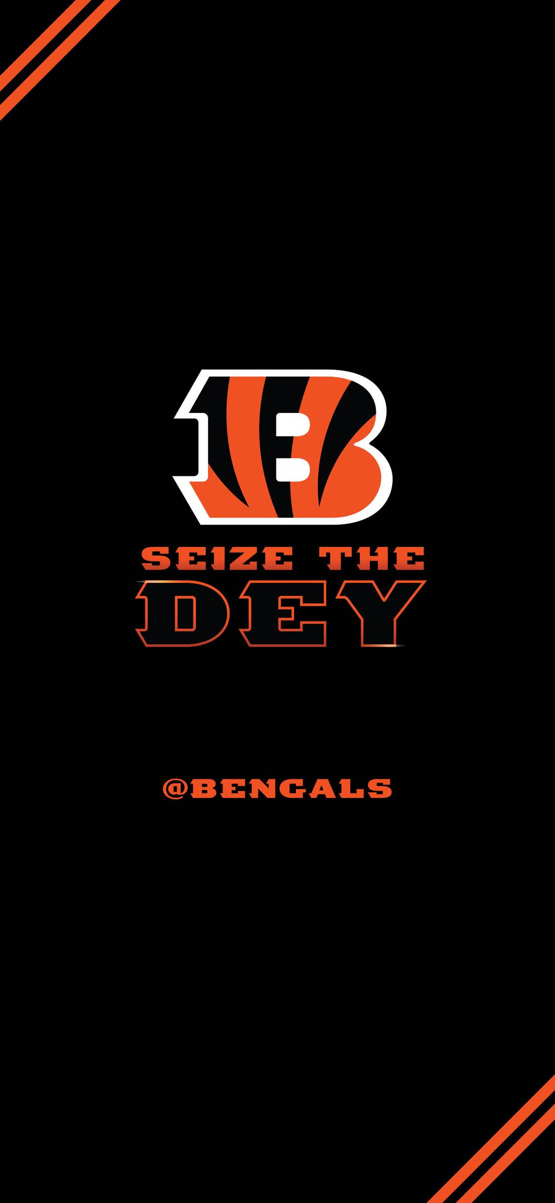 Cincinnati Bengals Seize The Dey Bakgrunner