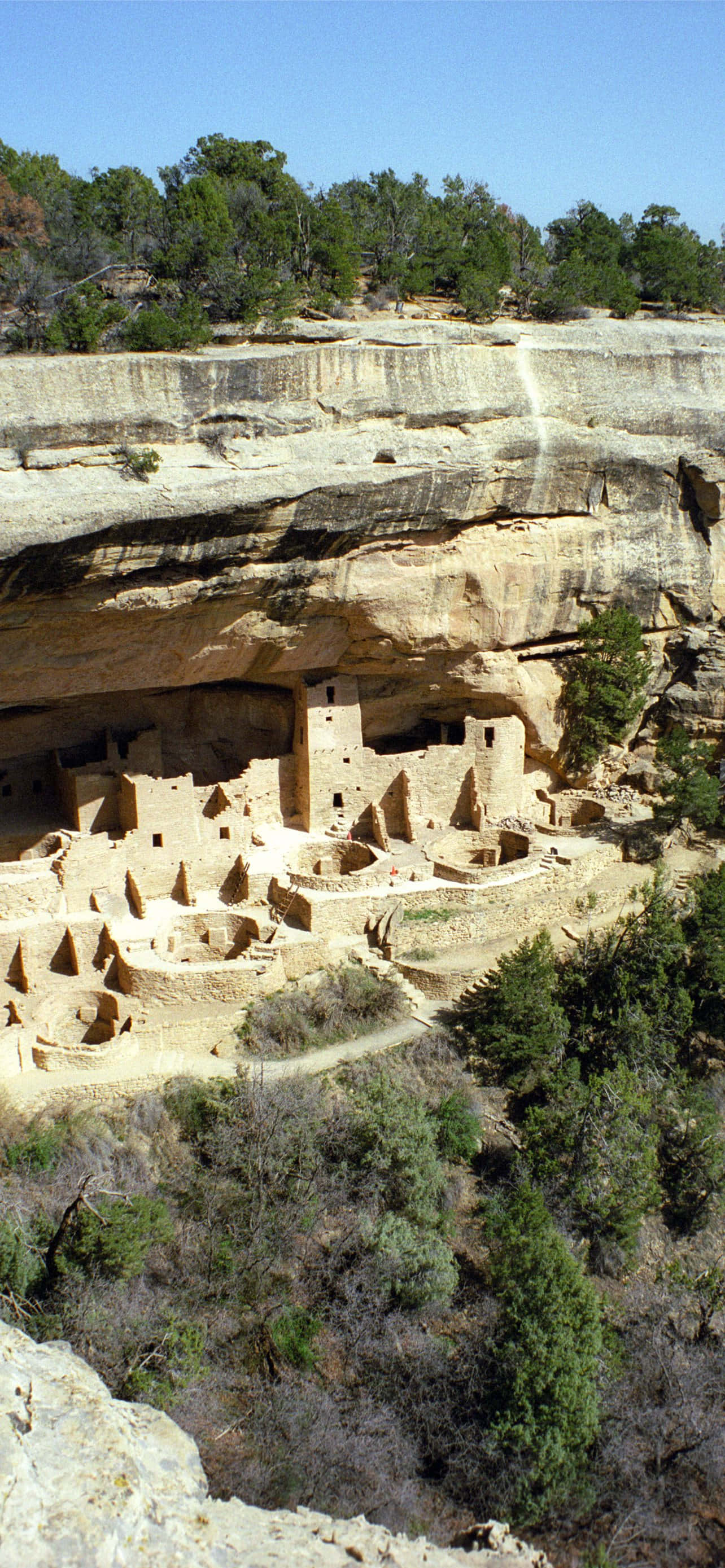 Cliff Palace Tan Color Mesa Verde National Park Bakgrunner