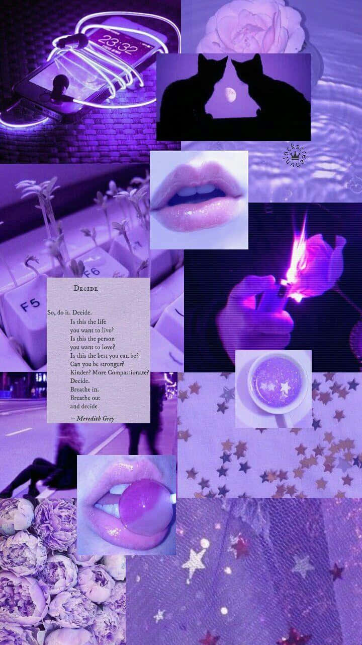 Collage Lavendel Pastell Lilla Estetisk Bakgrunn Bakgrunner