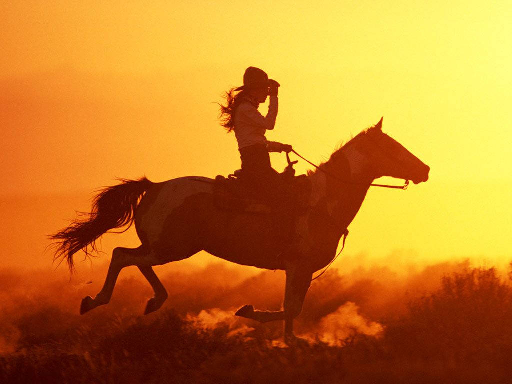 Country Western Ridning Mot Solnedgang Bakgrunner