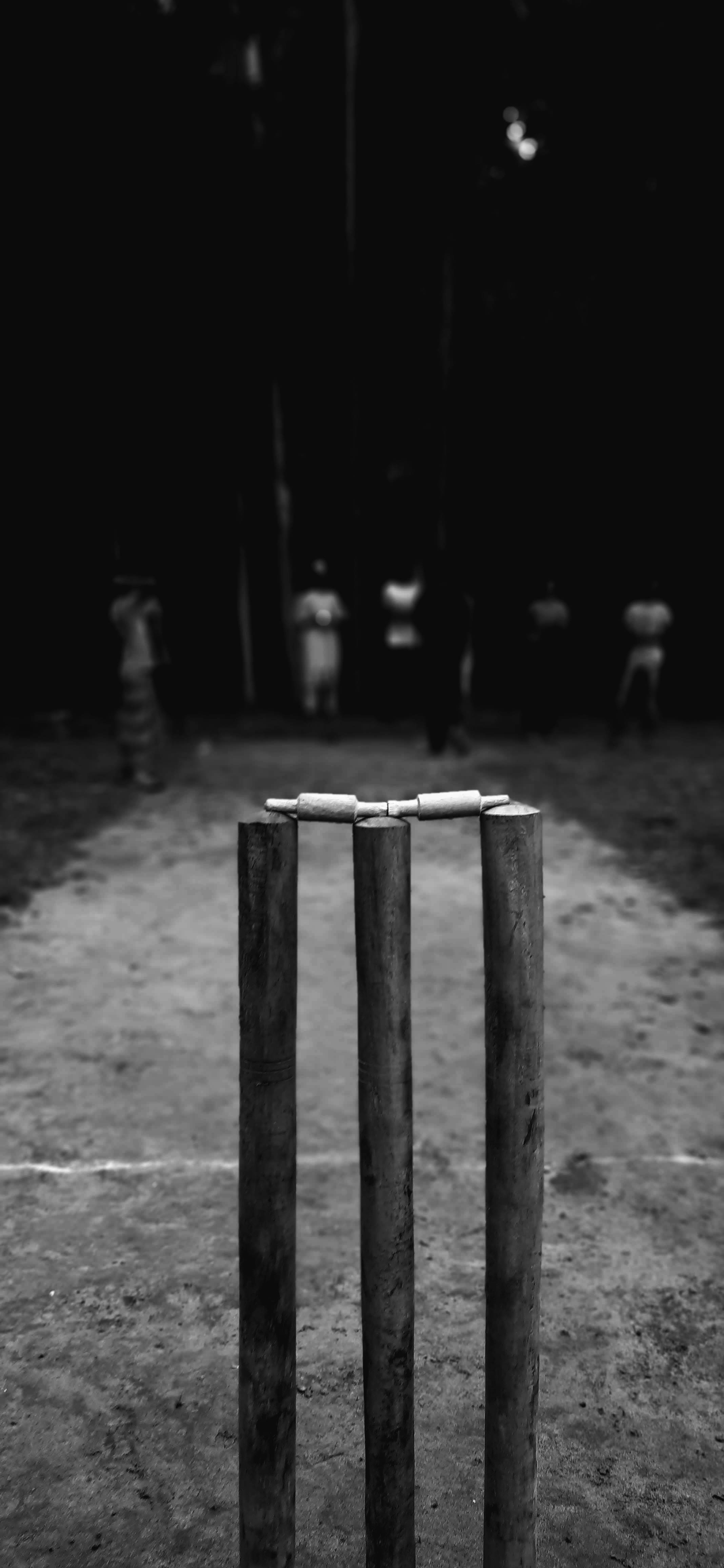 Cricket trestubbe i gråtoner Bakgrunner