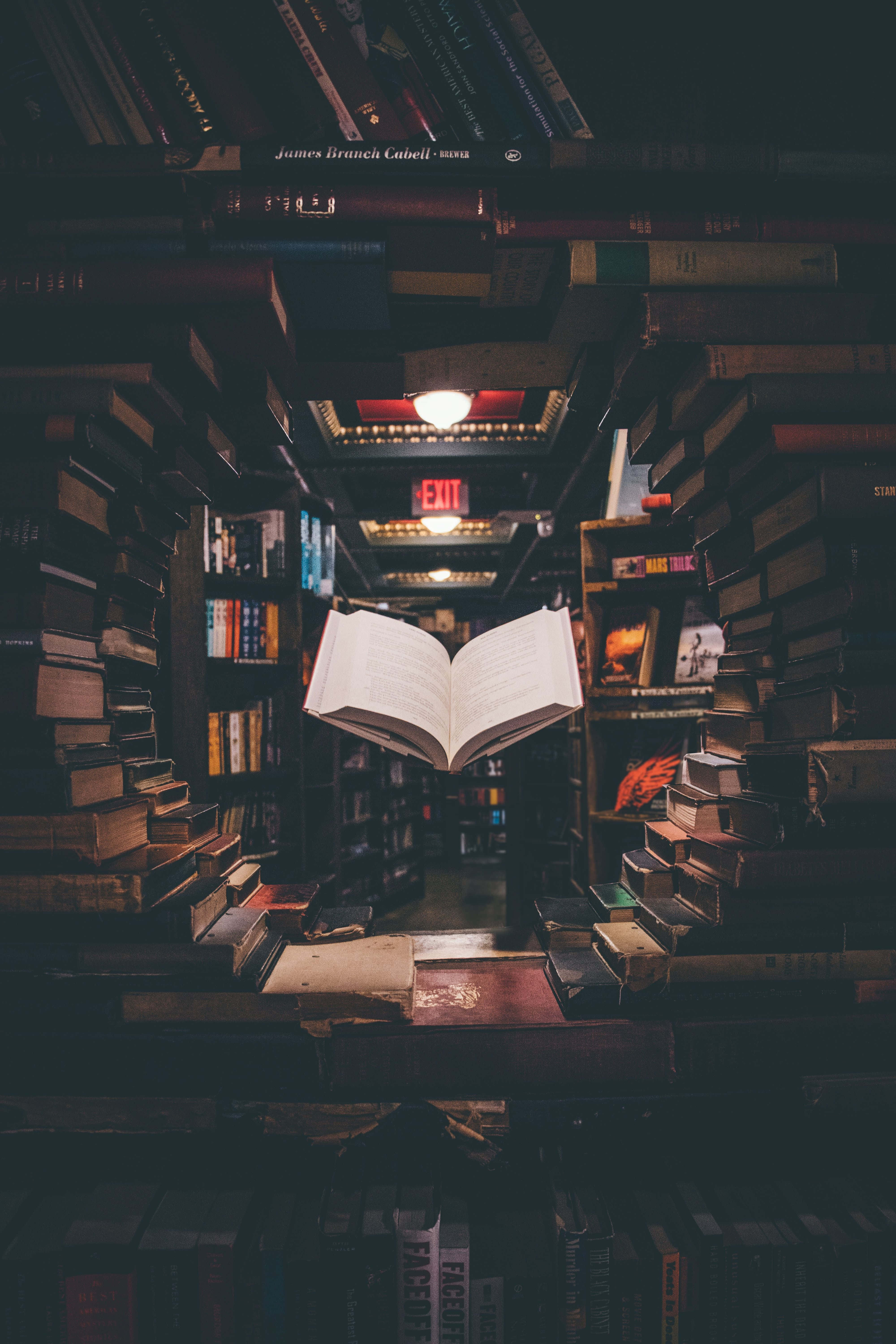 Dark Academia-estetisk 4000 x 6000 bakgrunn Bakgrunner