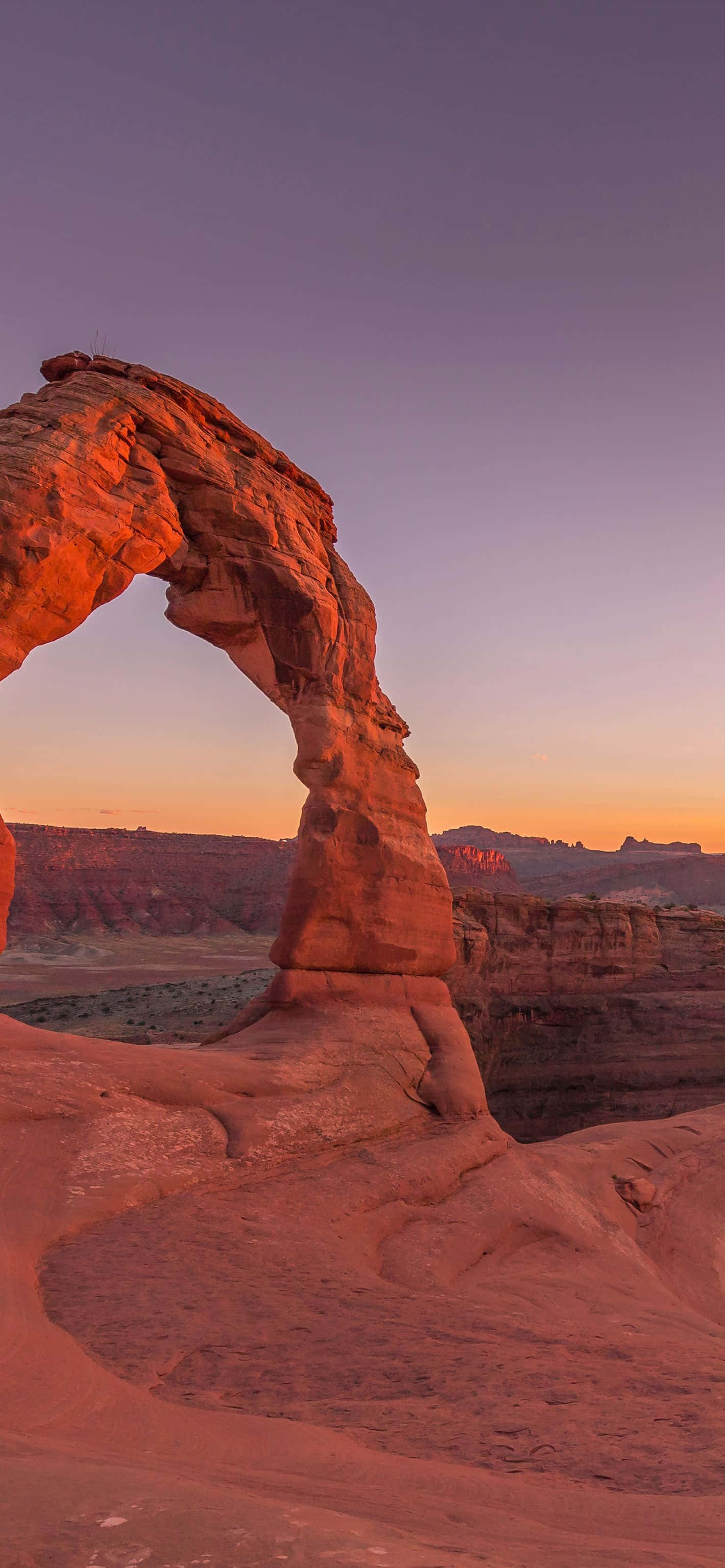 Delicate Arch i skumringen Bakgrunner