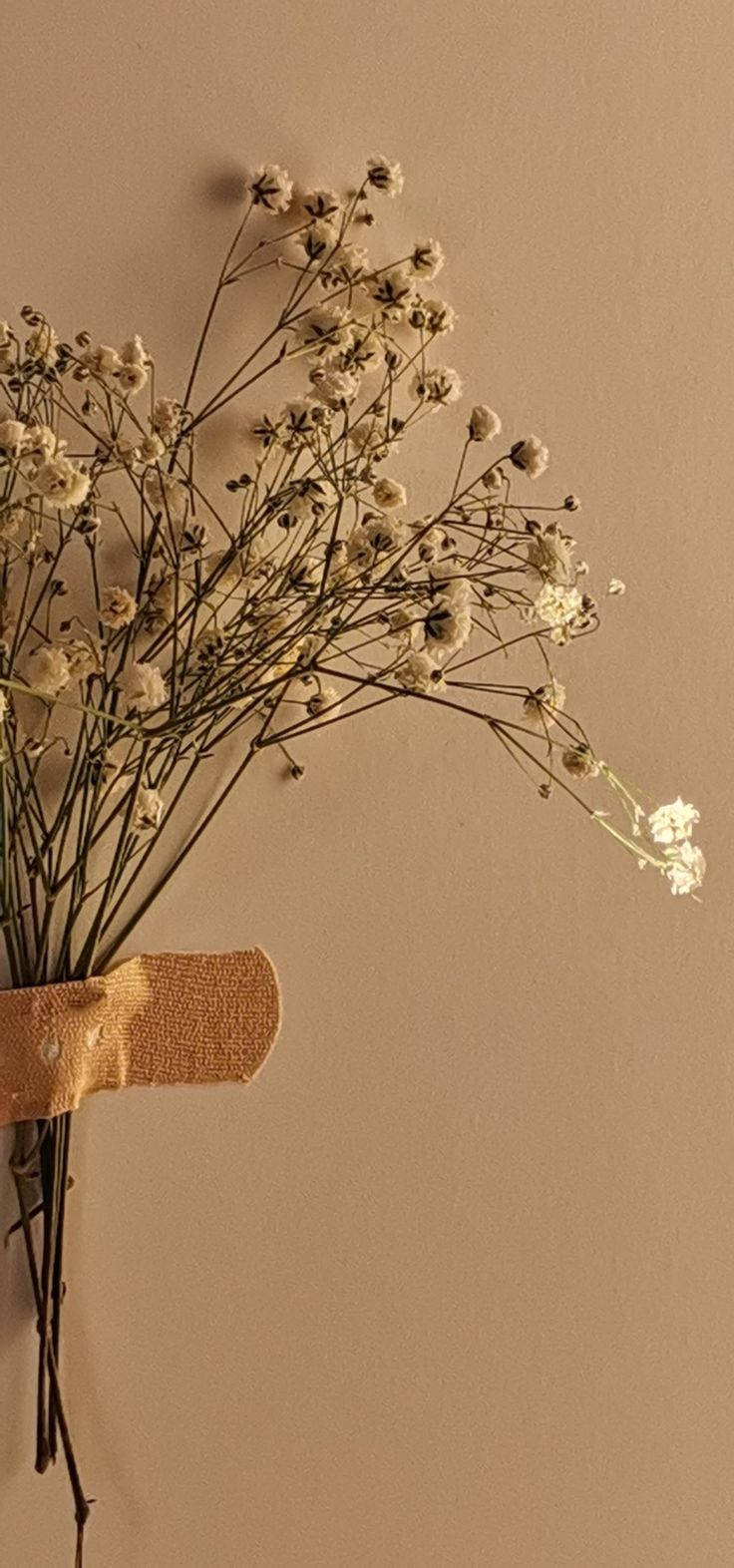 Delikat blomst i beige estetikk Bakgrunner