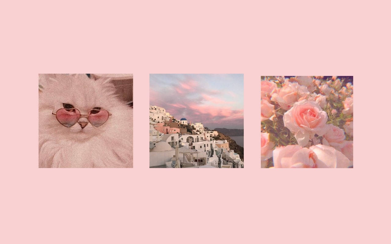 Delikat rosa Pinterest-laptop Bakgrunner